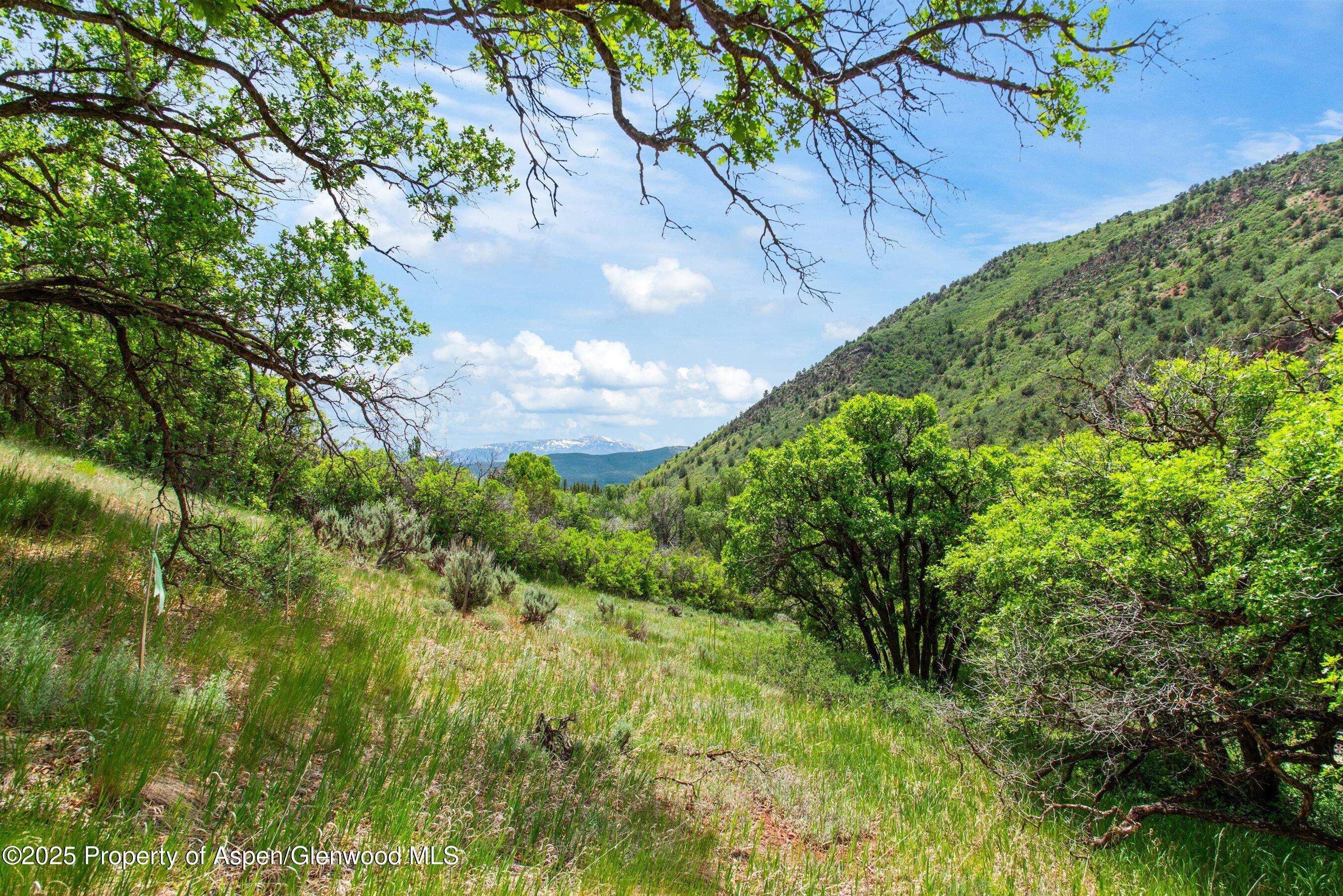354 Snowmass Creek Road Snowmass CO 81654