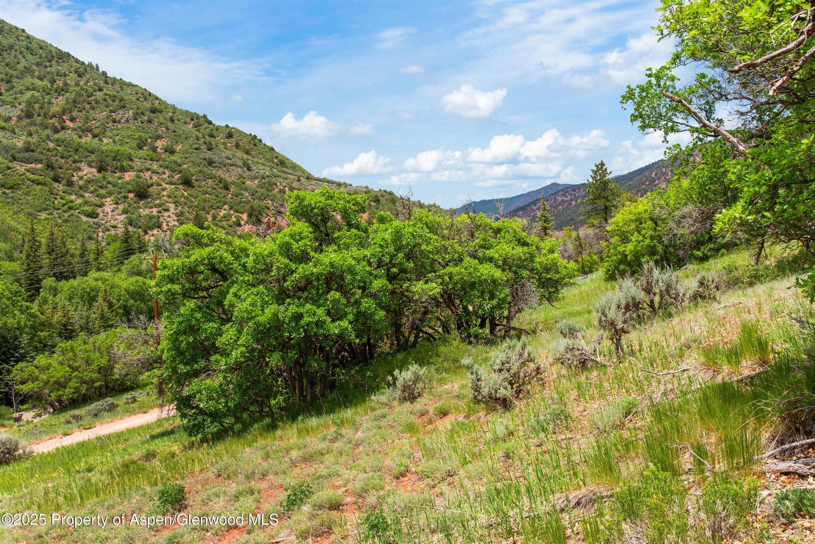 354 Snowmass Creek Road Snowmass CO 81654