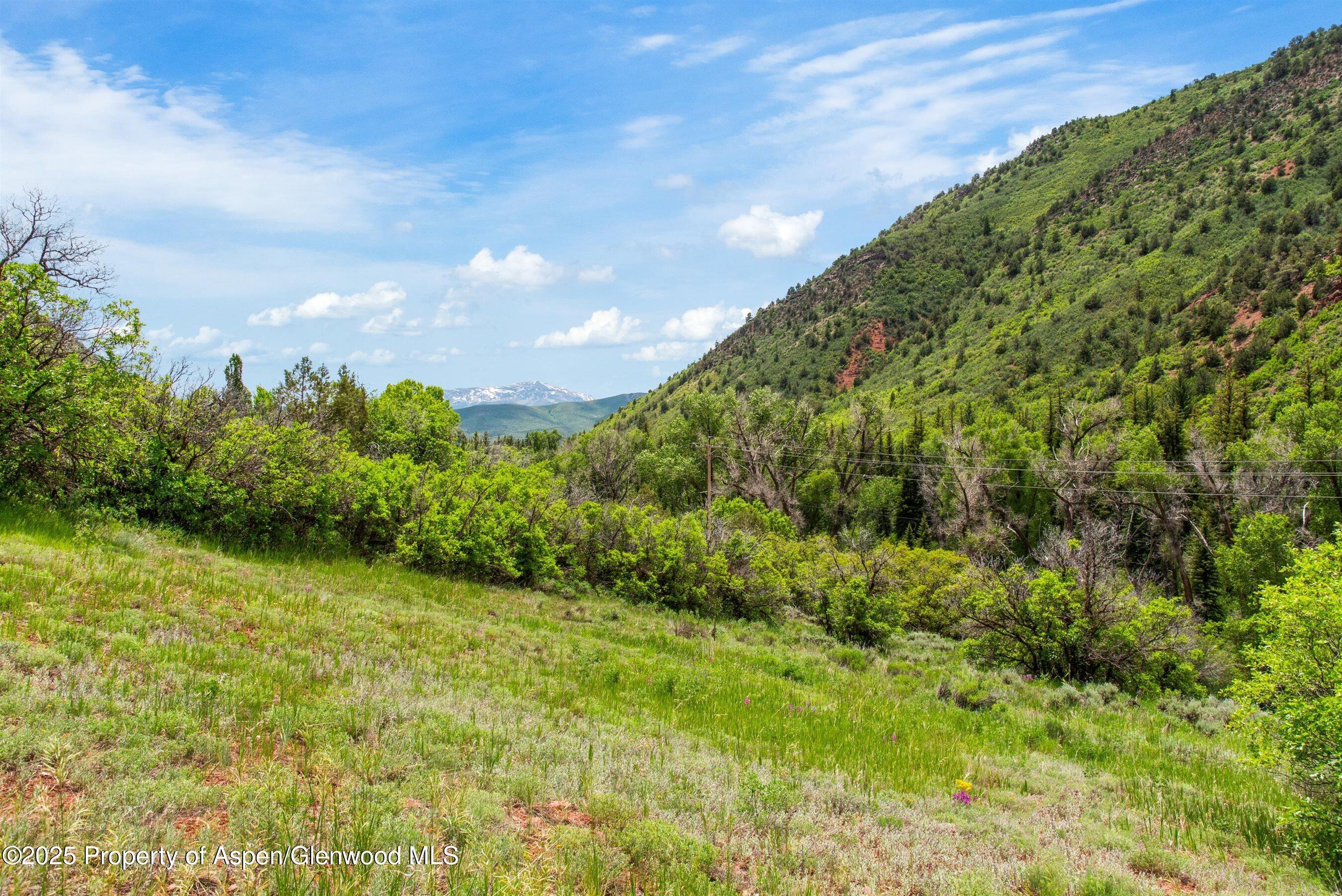354 Snowmass Creek Road Snowmass CO 81654