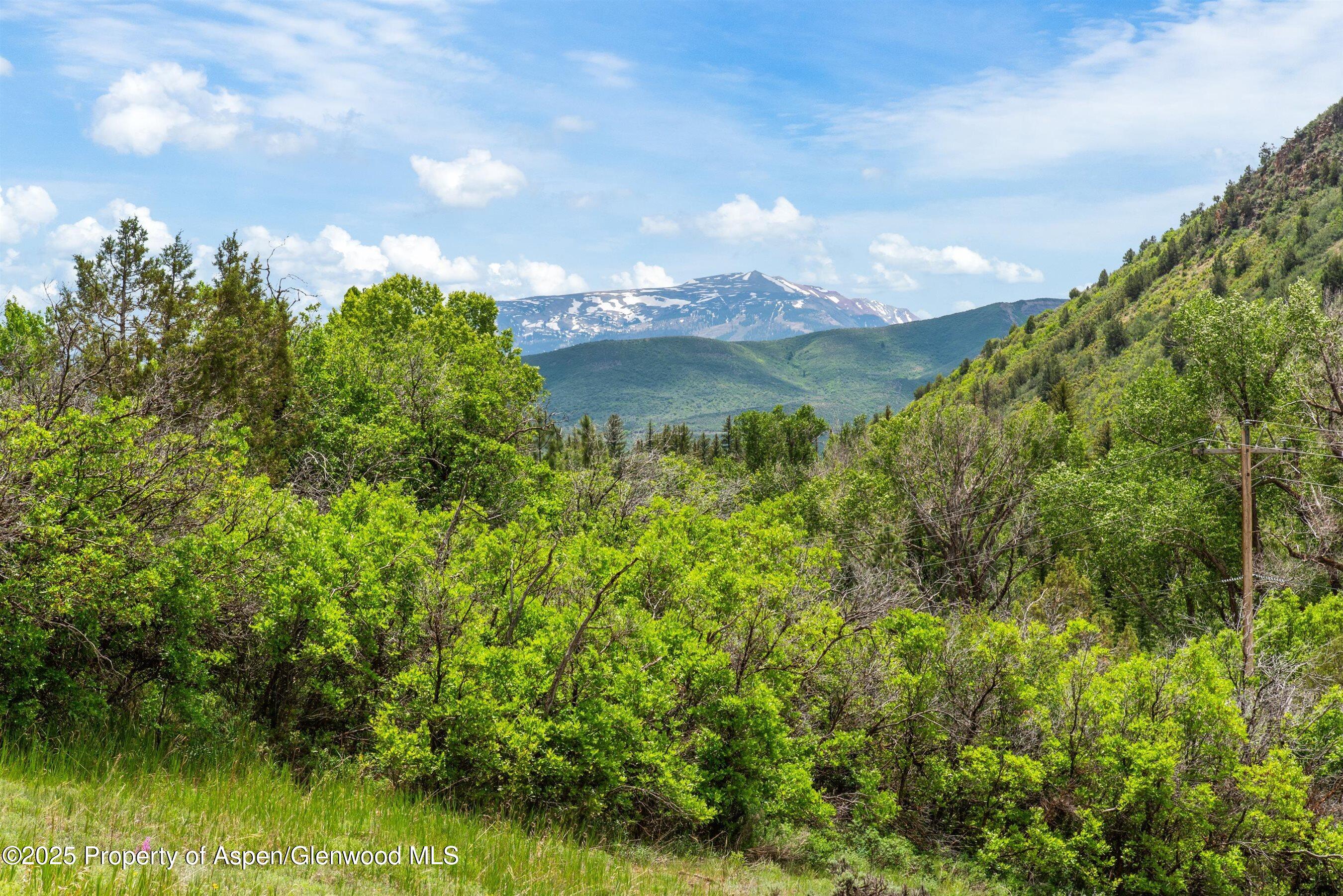 354 Snowmass Creek Road Snowmass CO 81654