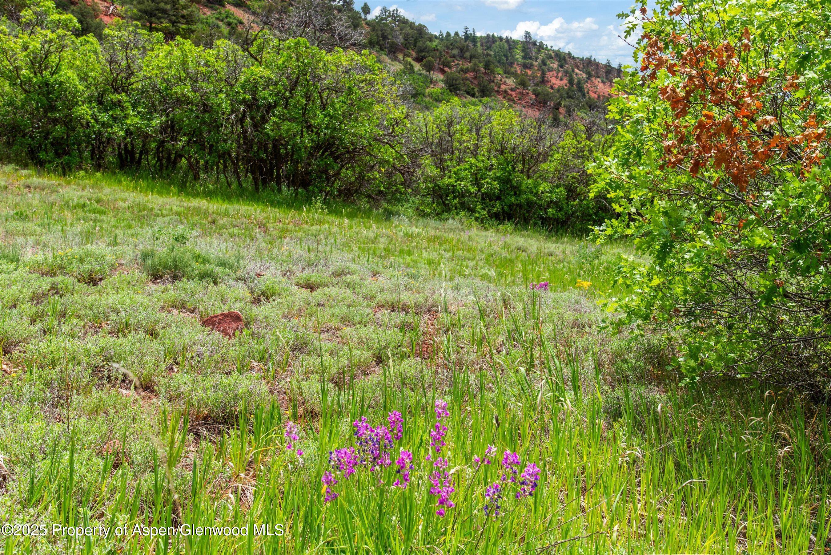 354 Snowmass Creek Road Snowmass CO 81654