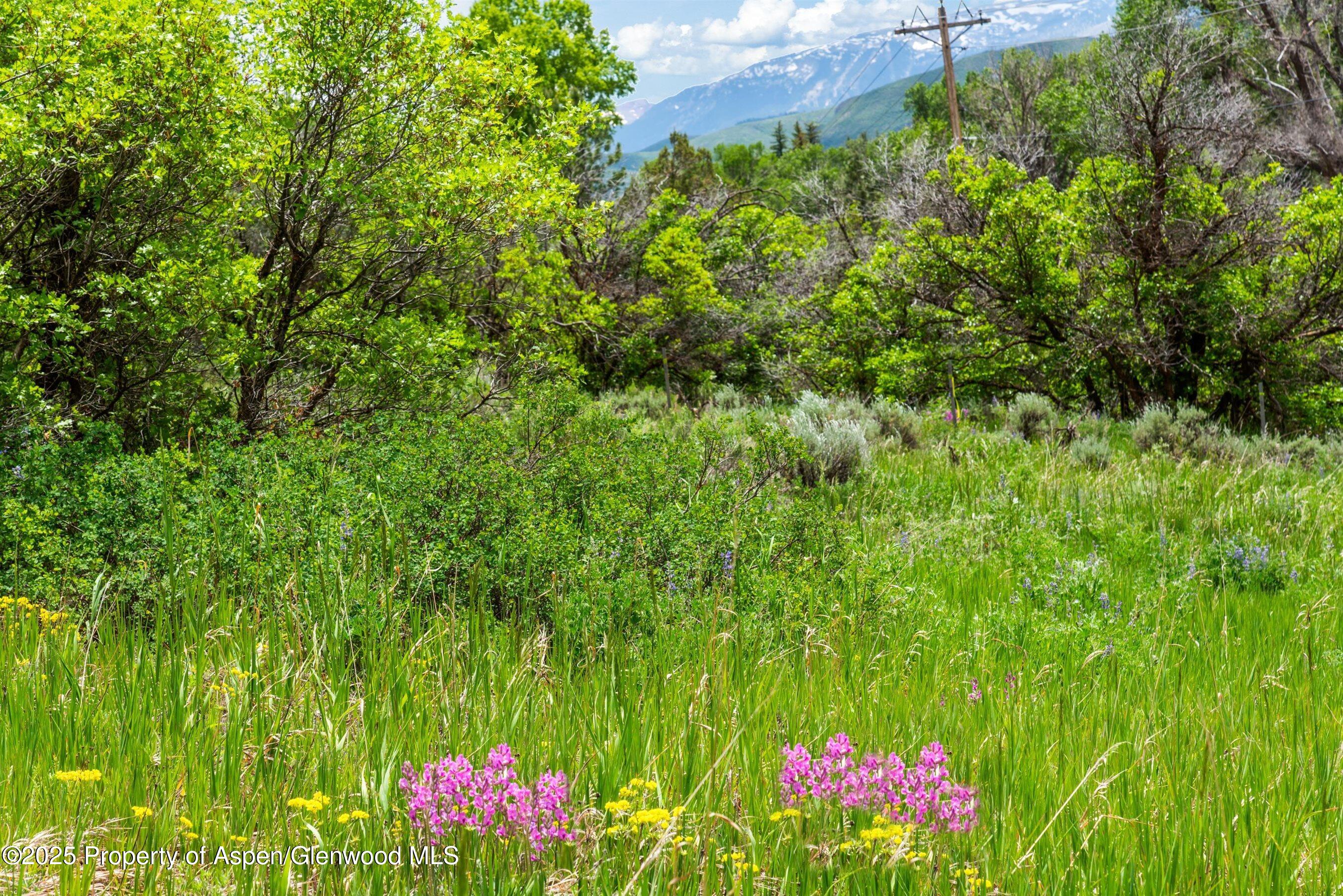 354 Snowmass Creek Road Snowmass CO 81654