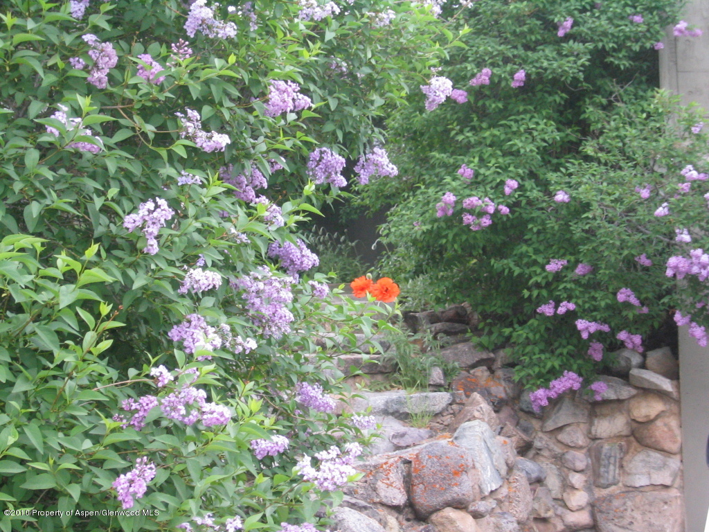 1422 W Buttermilk Road Aspen CO 81611