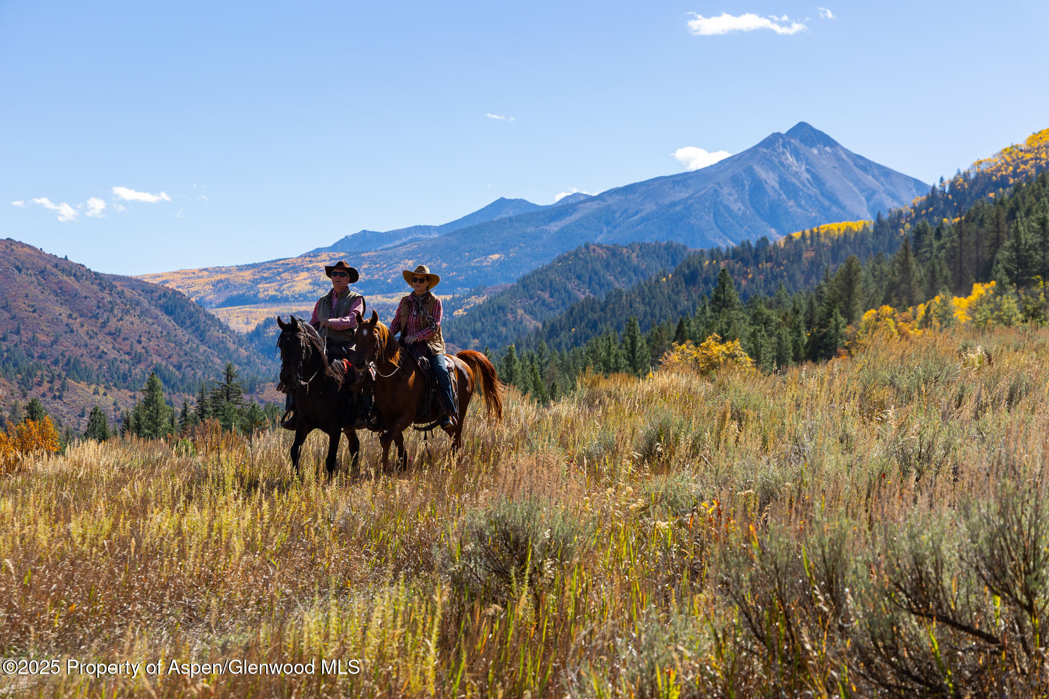 30682 County Road 12 Somerset CO 81434