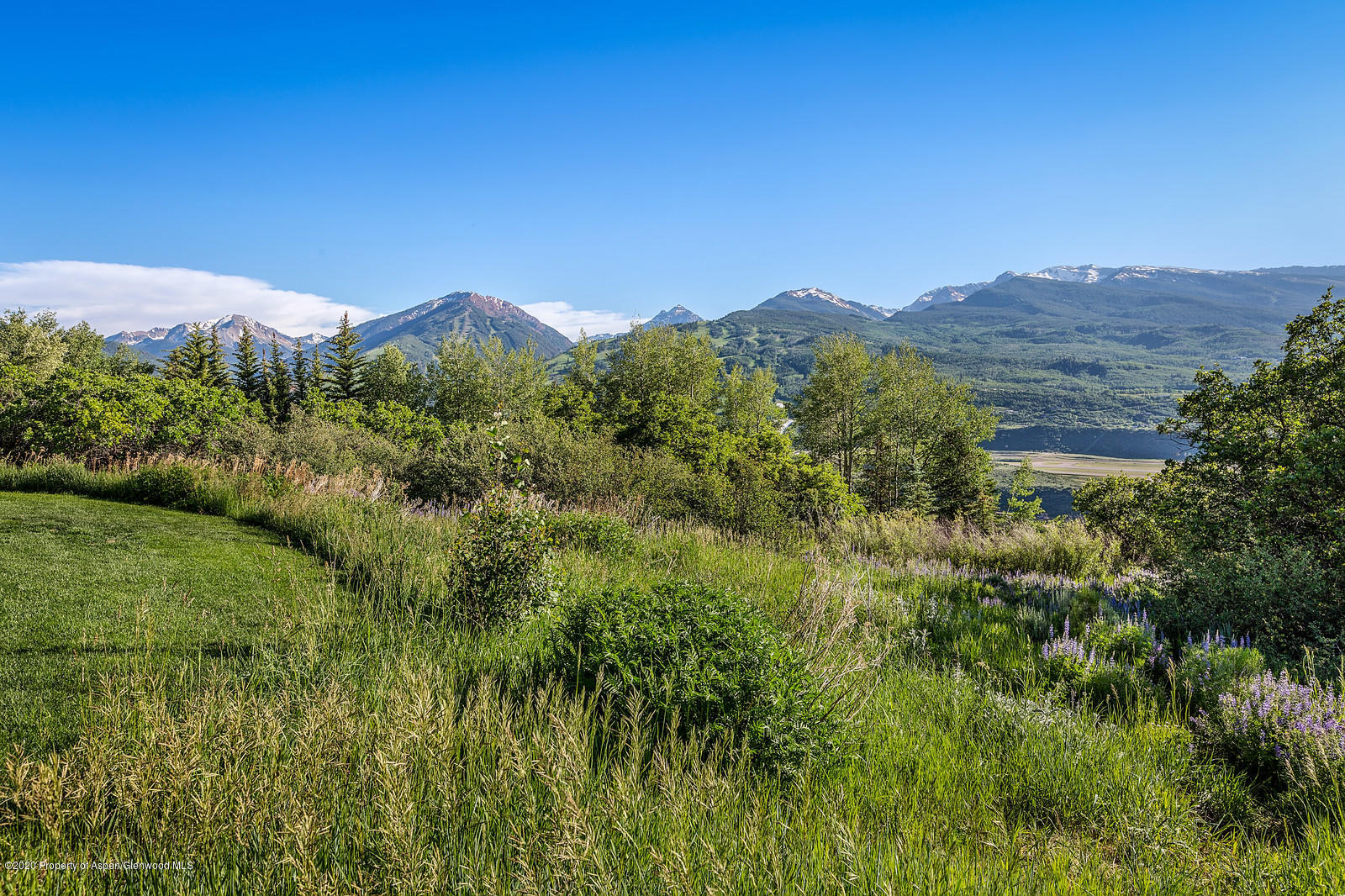 277 Danielson Drive Aspen CO 81611