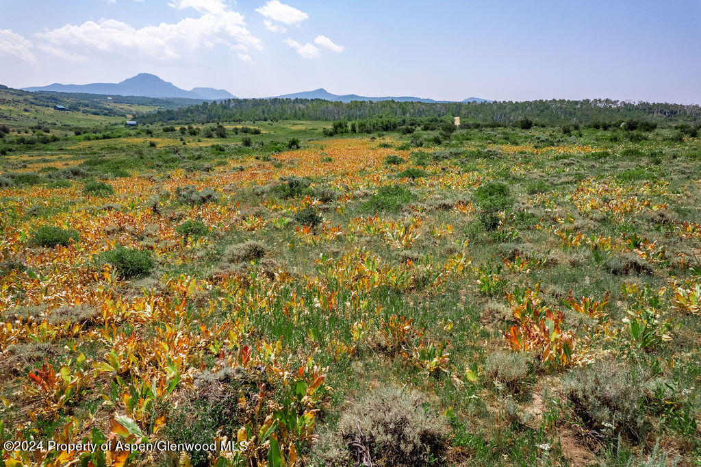 Tbd Boulder Drive Lot 397 Craig CO 81625