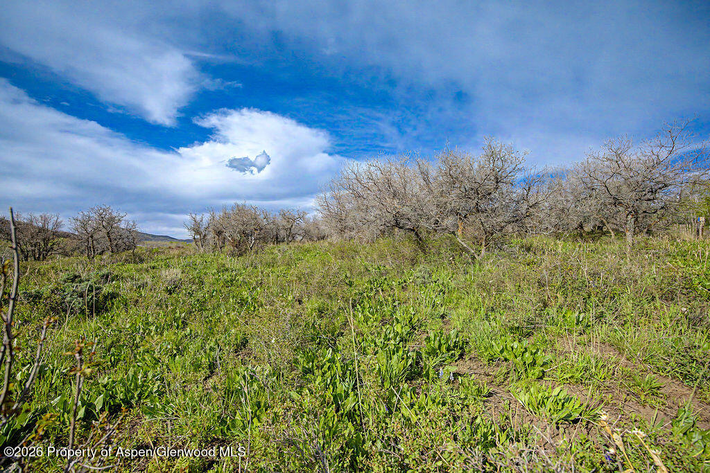 908 Fiddleneck Drive Craig CO 81625