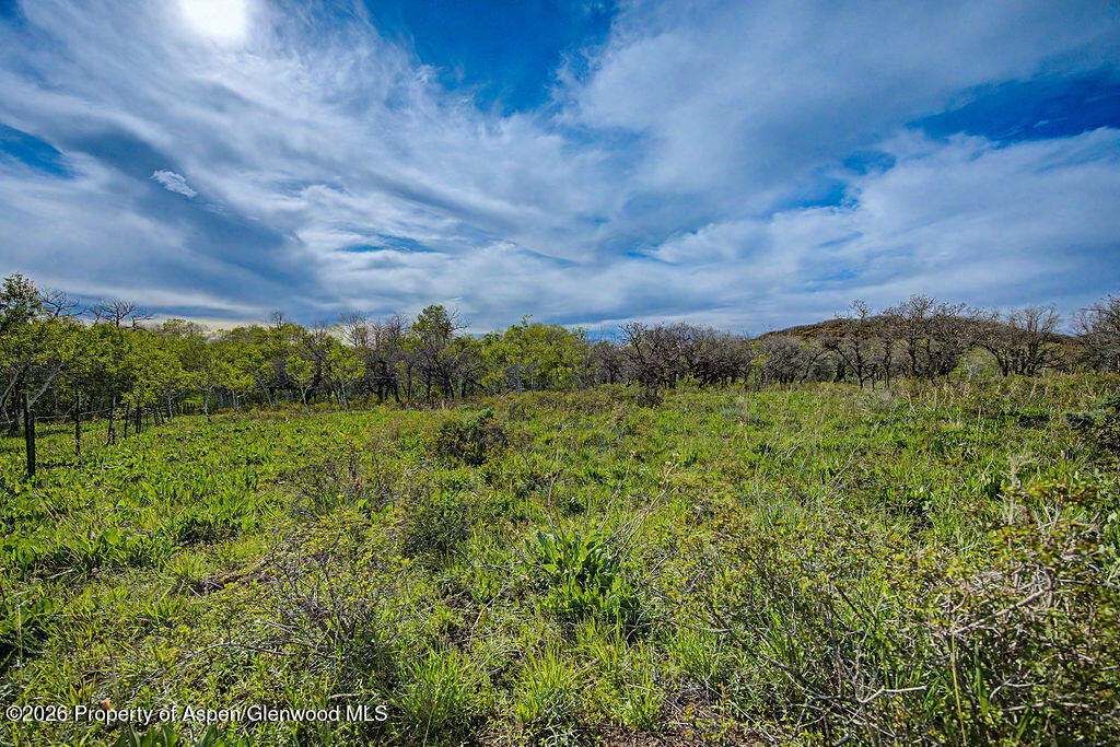 908 Fiddleneck Drive Craig CO 81625