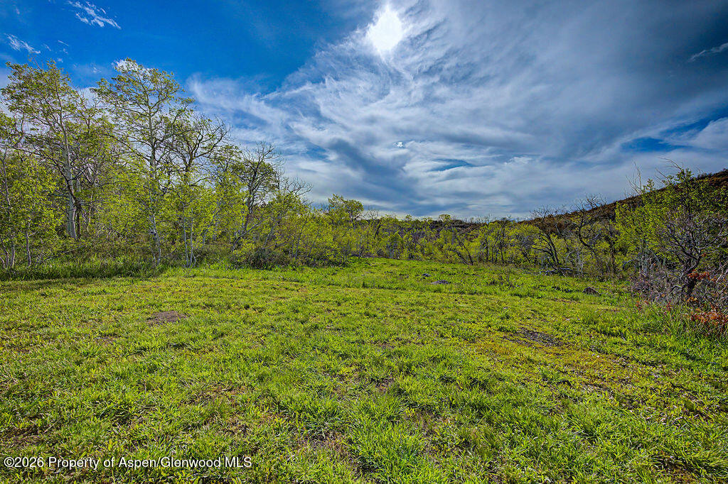 908 Fiddleneck Drive Craig CO 81625