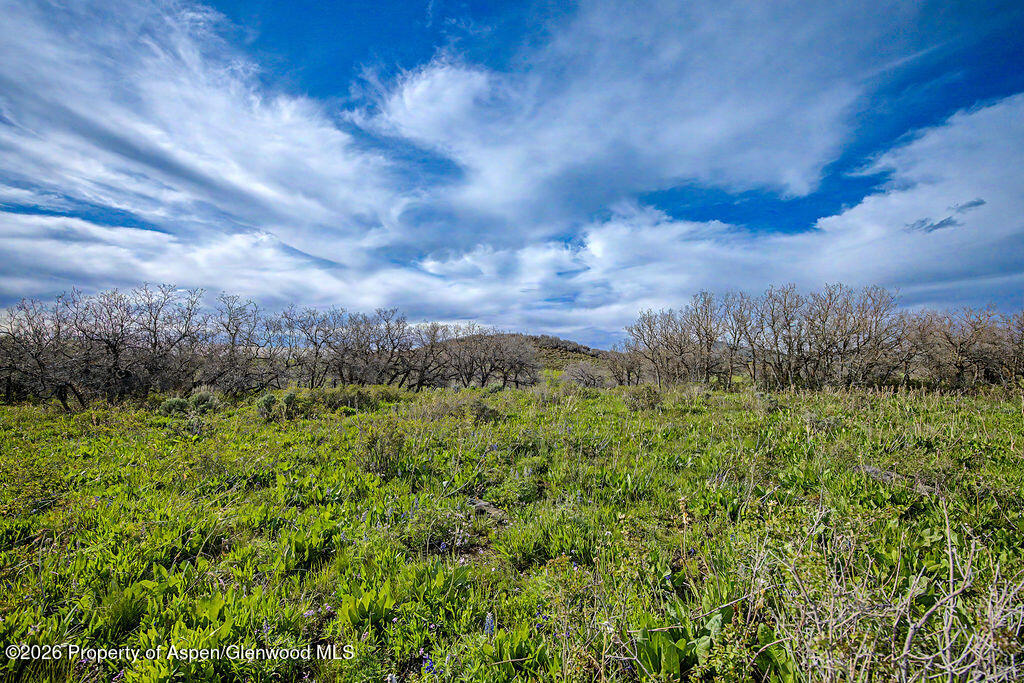 908 Fiddleneck Drive Craig CO 81625