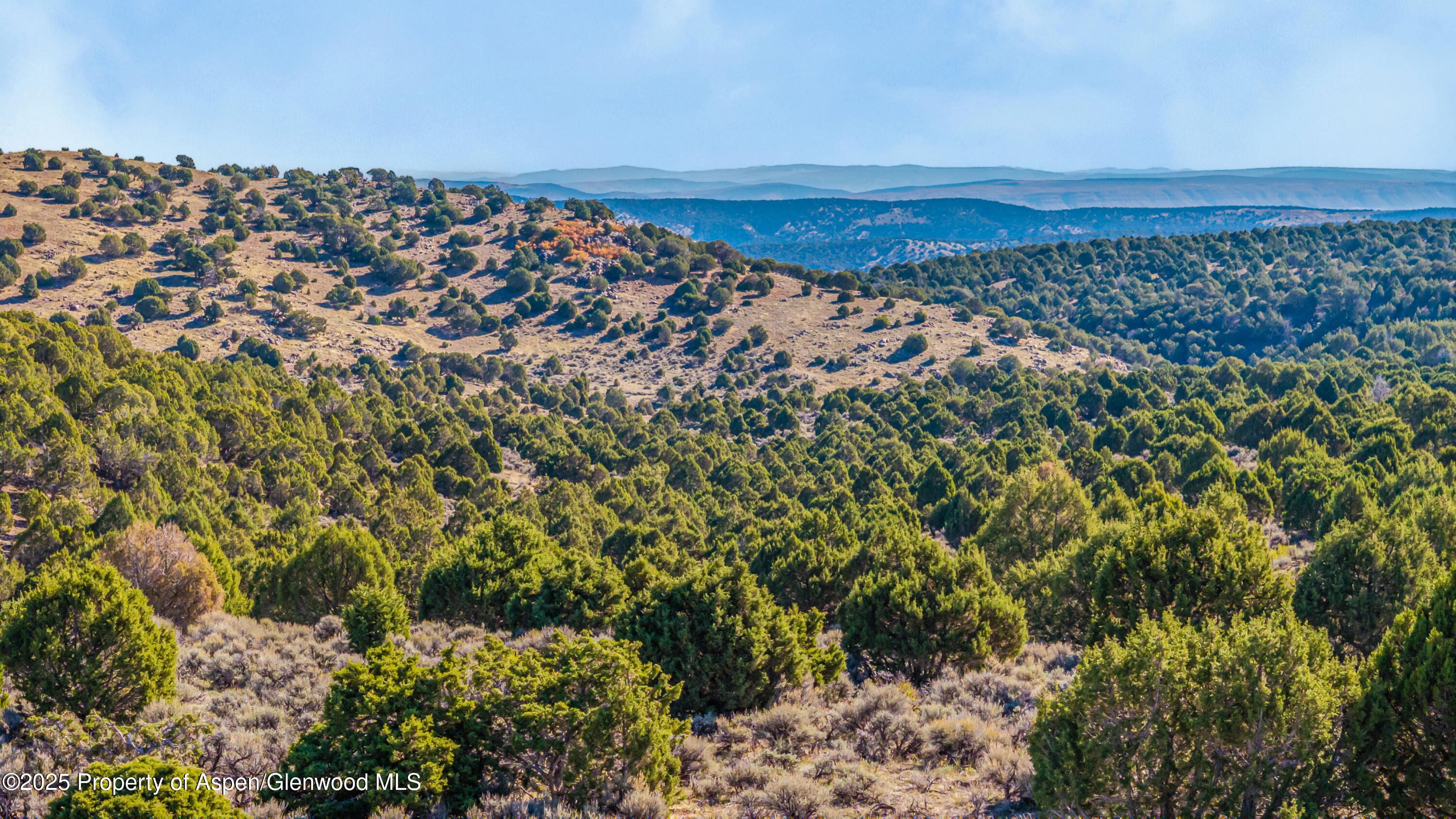 Tbd County Road 53 Maybell CO 81640