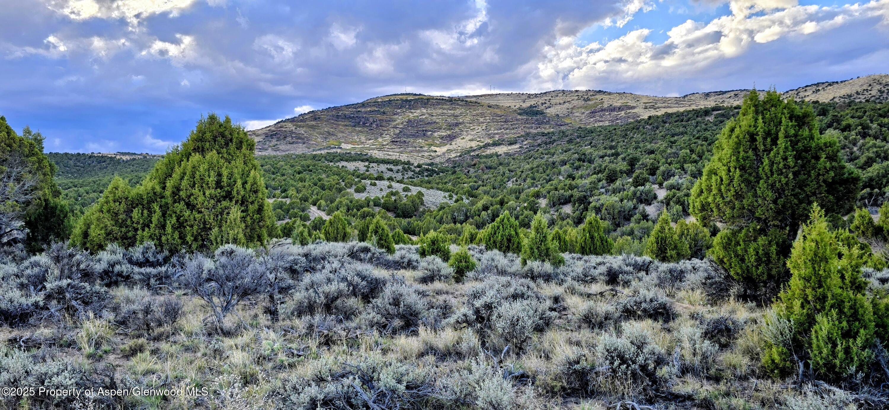 Tbd County Road 53 Maybell CO 81640