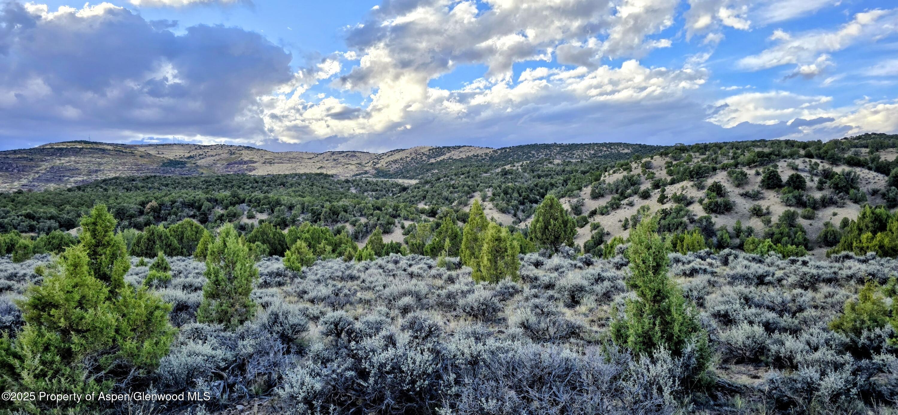 Tbd County Road 53 Maybell CO 81640