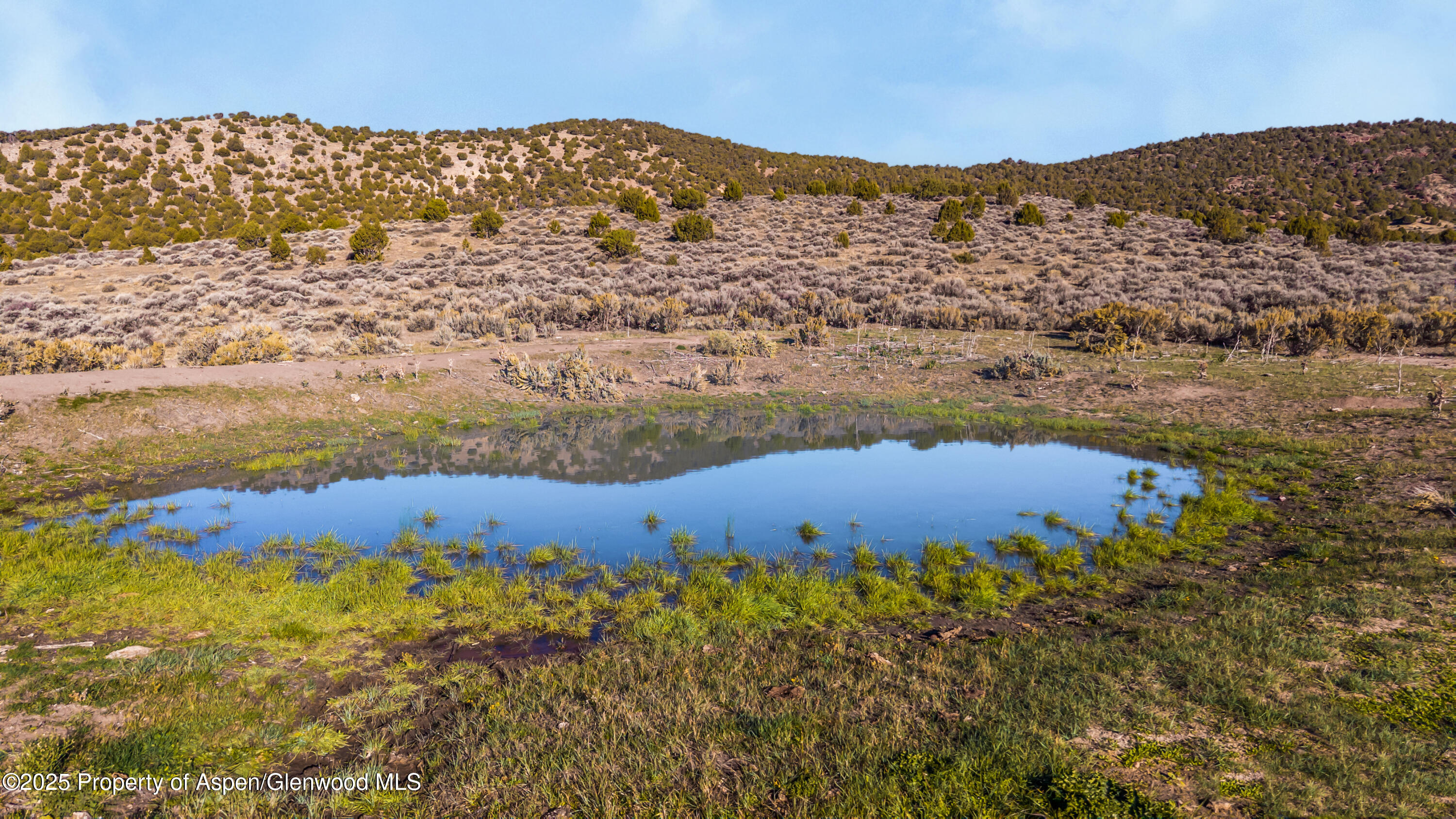 Tbd County Road 53 Maybell CO 81640