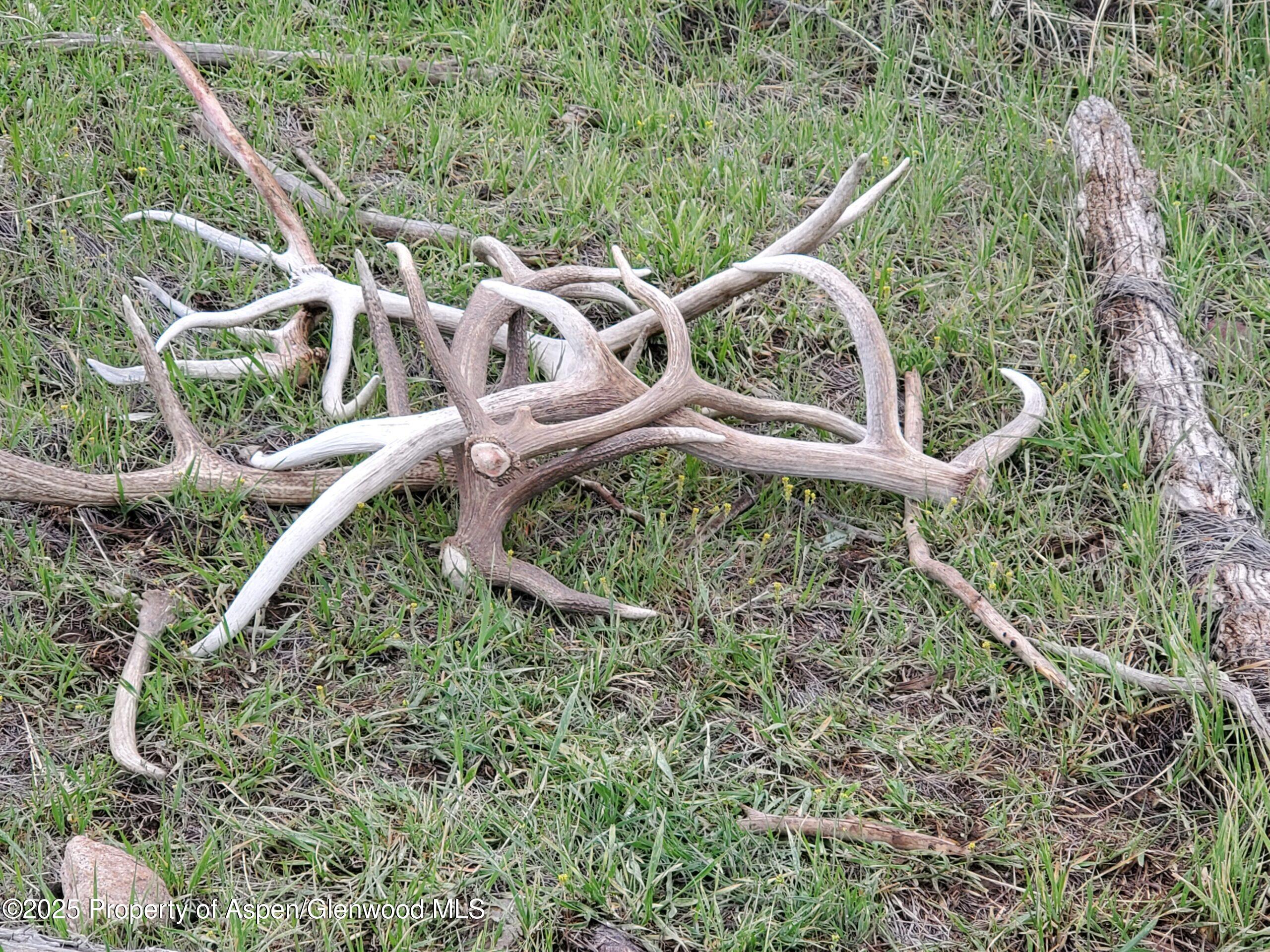 Tbd County Road 53 Maybell CO 81640