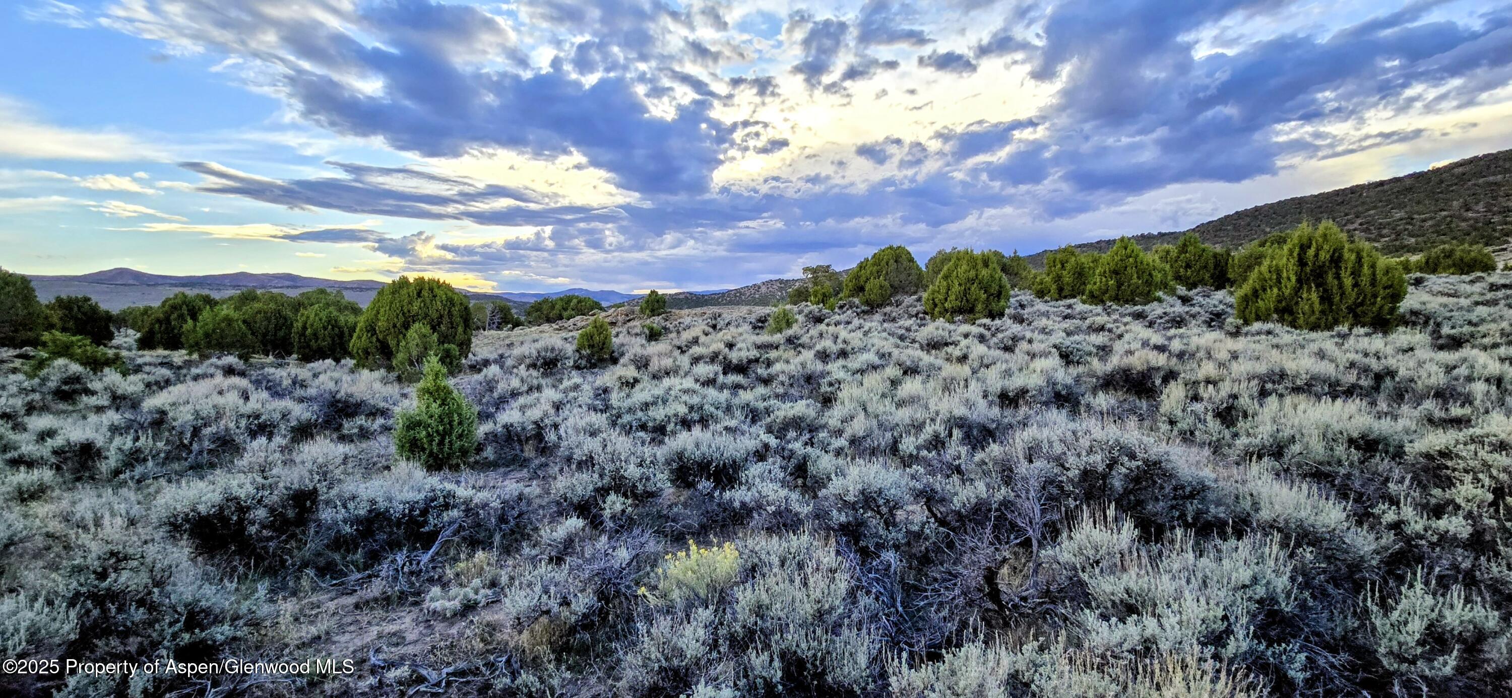 Tbd County Road 53 Maybell CO 81640