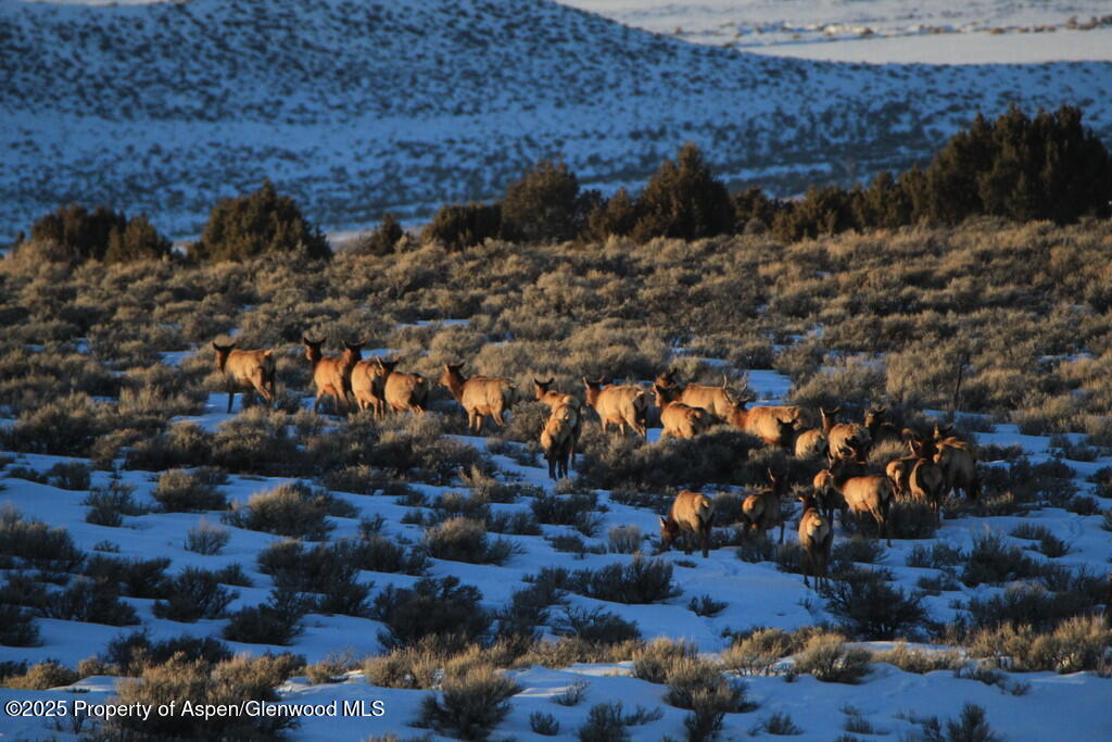Tbd County Road 53 Maybell CO 81640