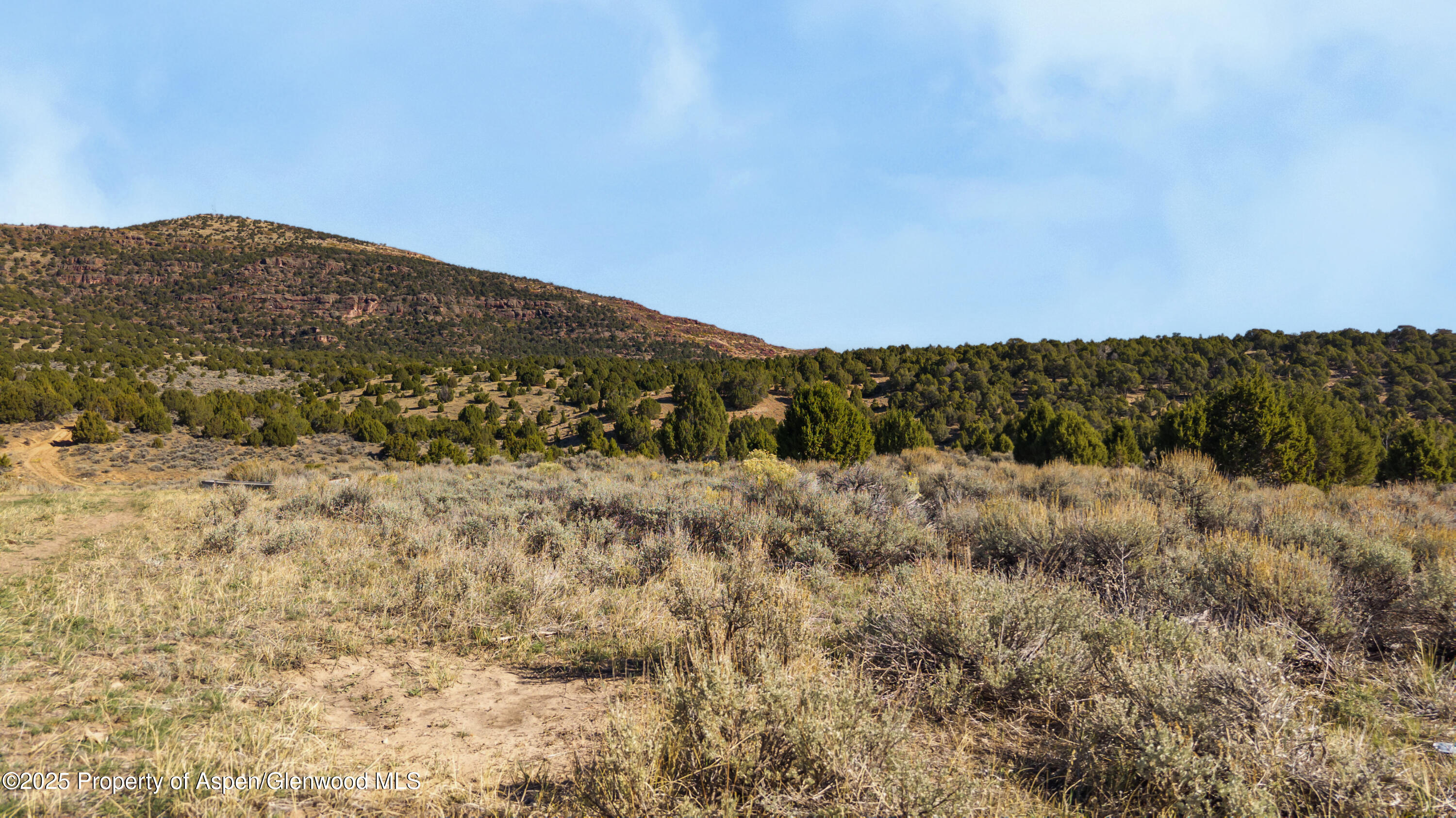 Tbd County Road 53 Maybell CO 81640