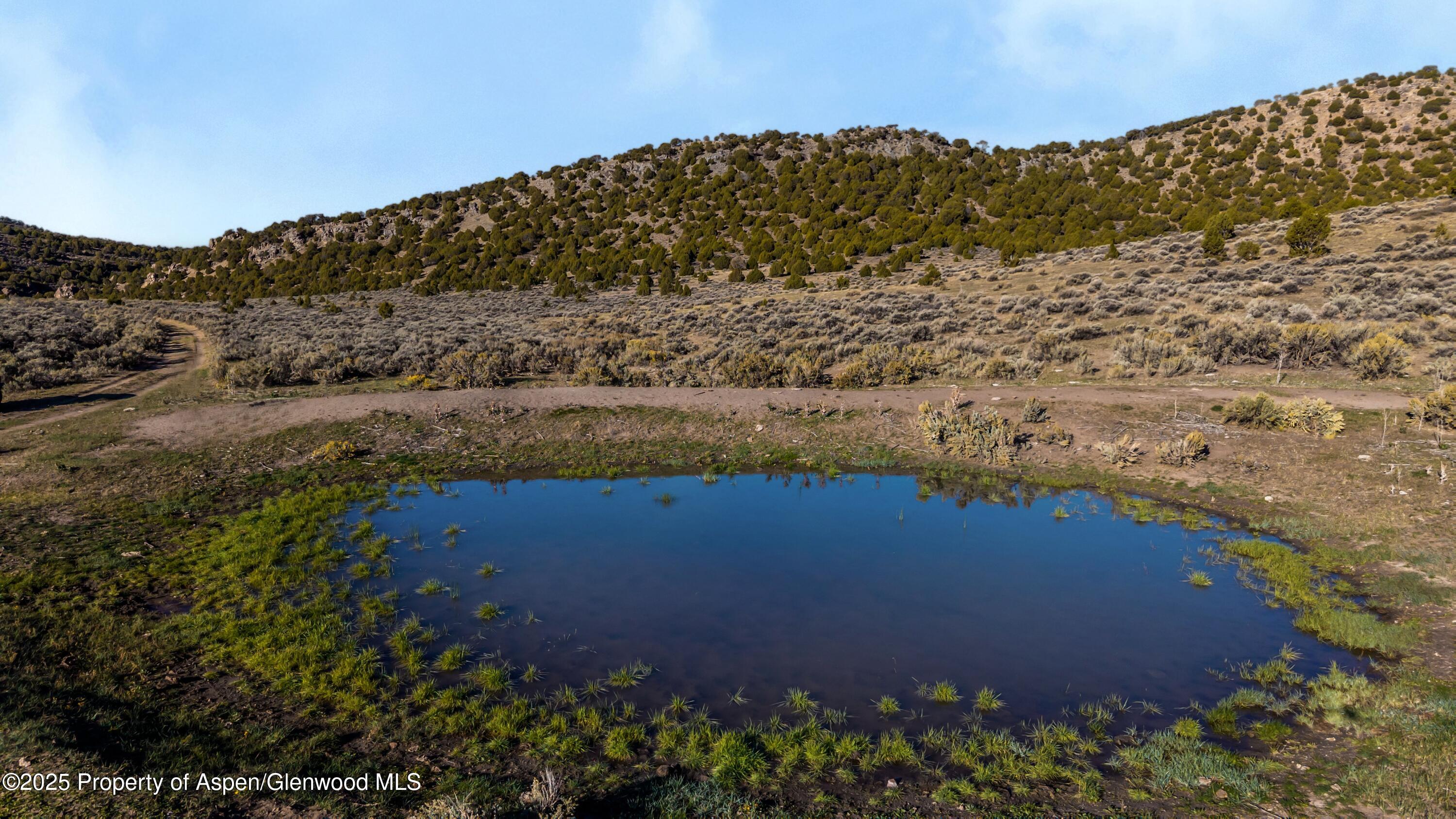 Tbd County Road 53 Maybell CO 81640