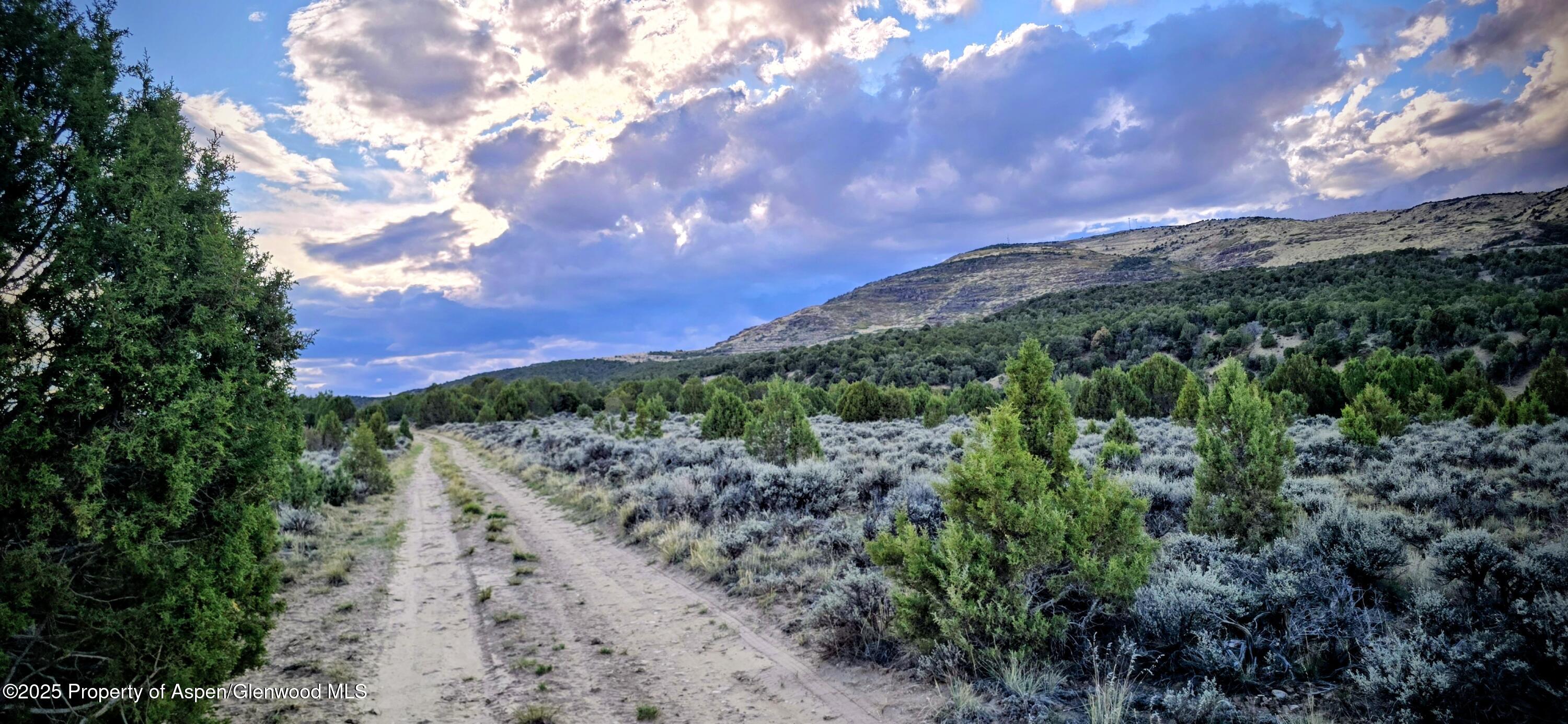 Tbd County Road 53 Maybell CO 81640