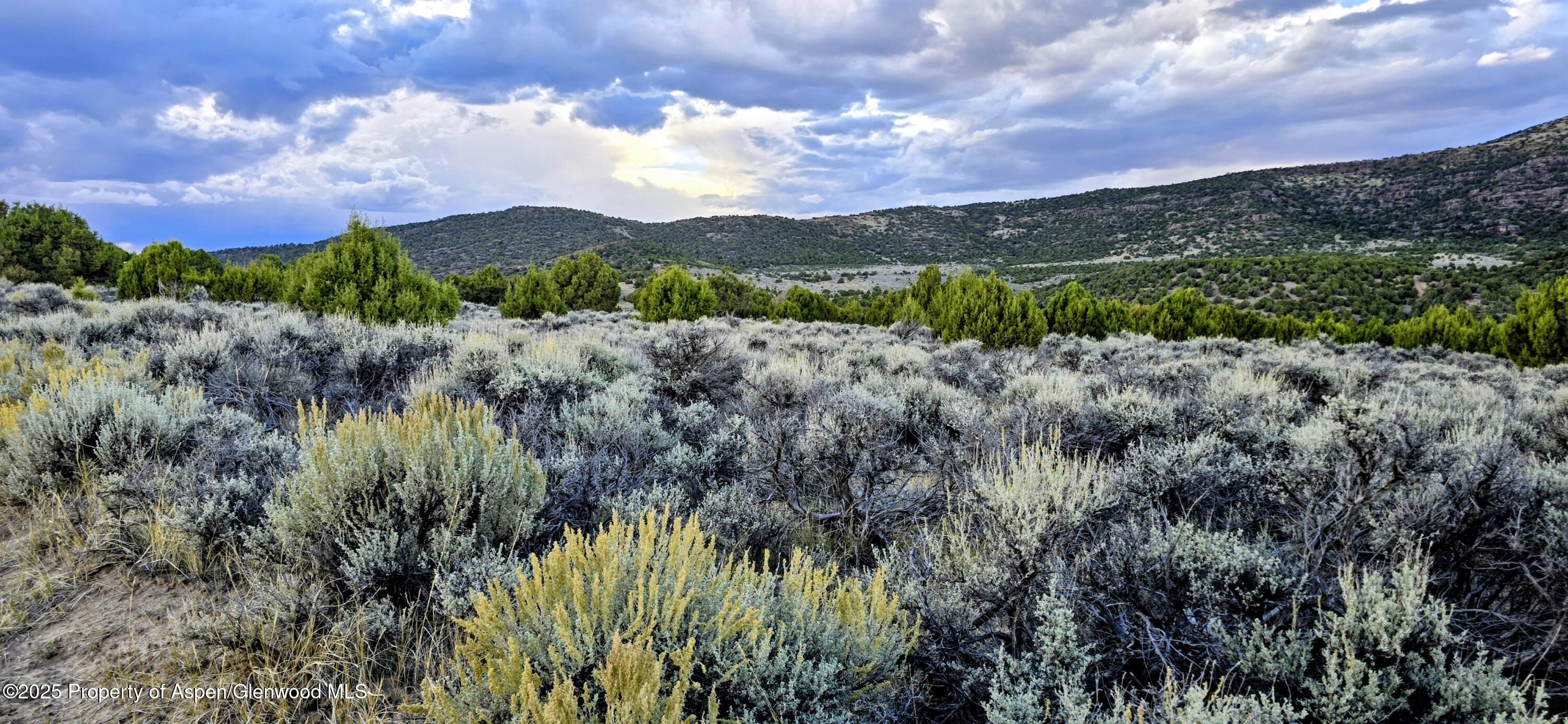 Tbd County Road 53 Maybell CO 81640