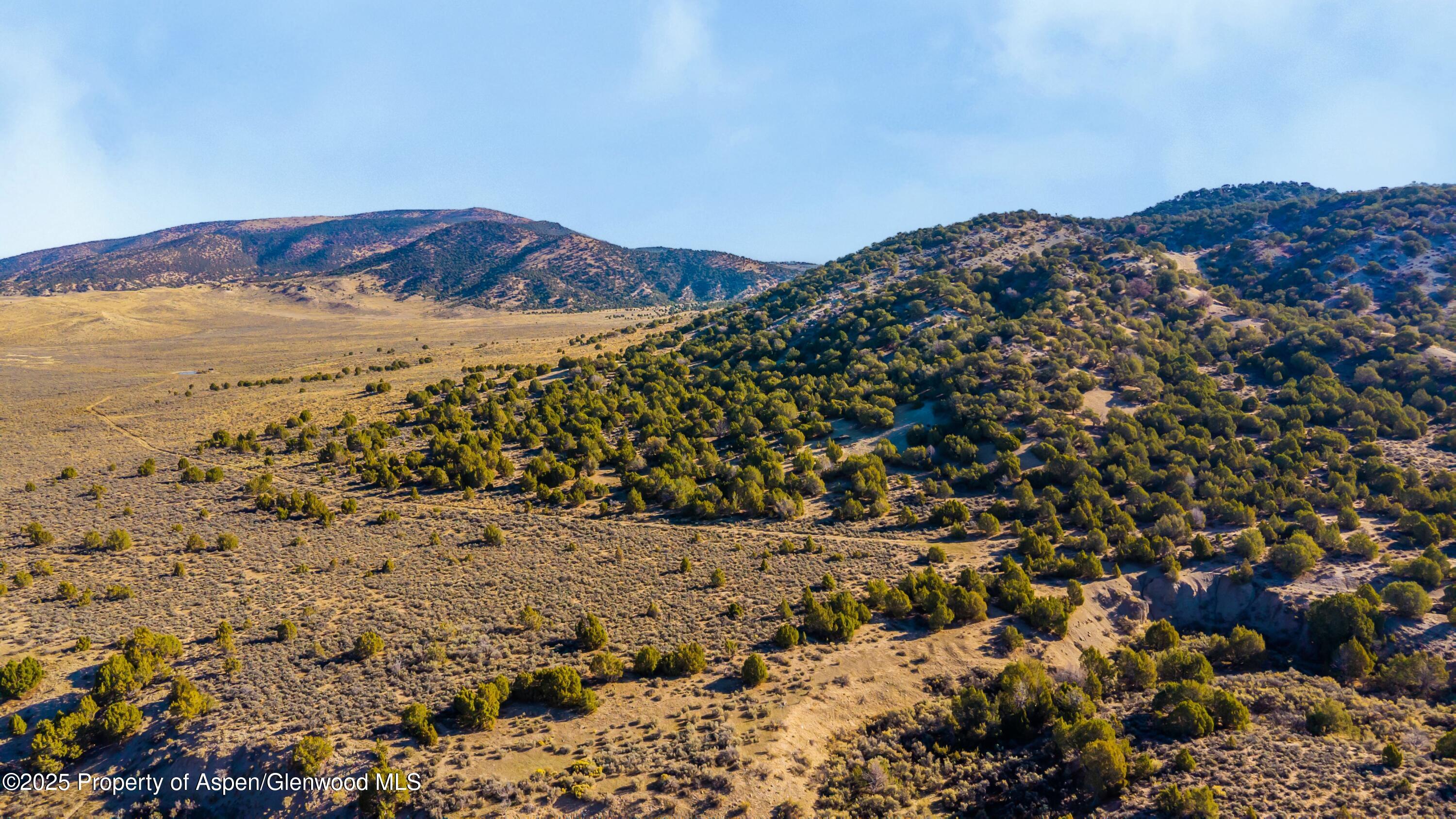 Tbd County Road 53 Maybell CO 81640