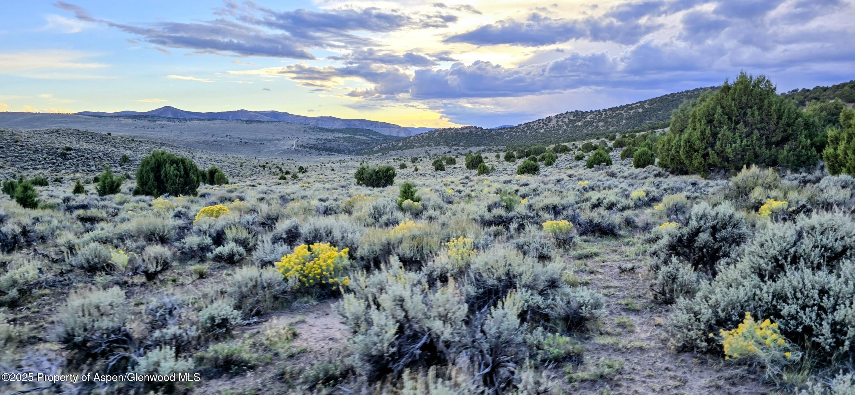 Tbd County Road 53 Maybell CO 81640