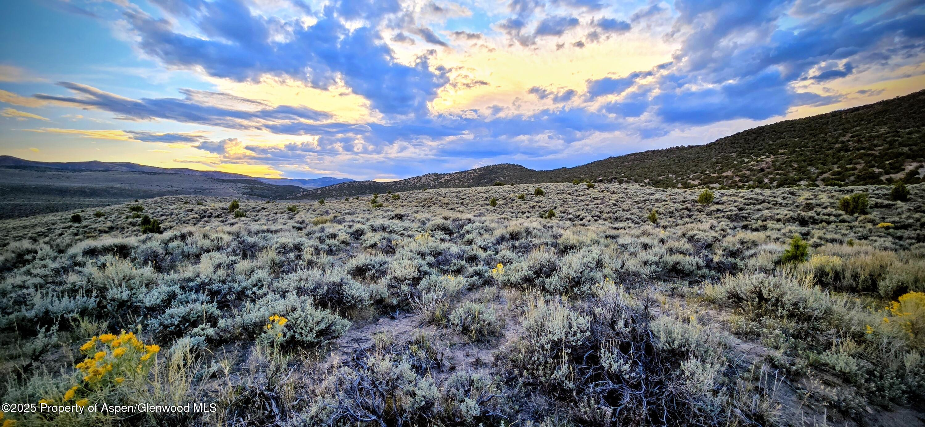 Tbd County Road 53 Maybell CO 81640