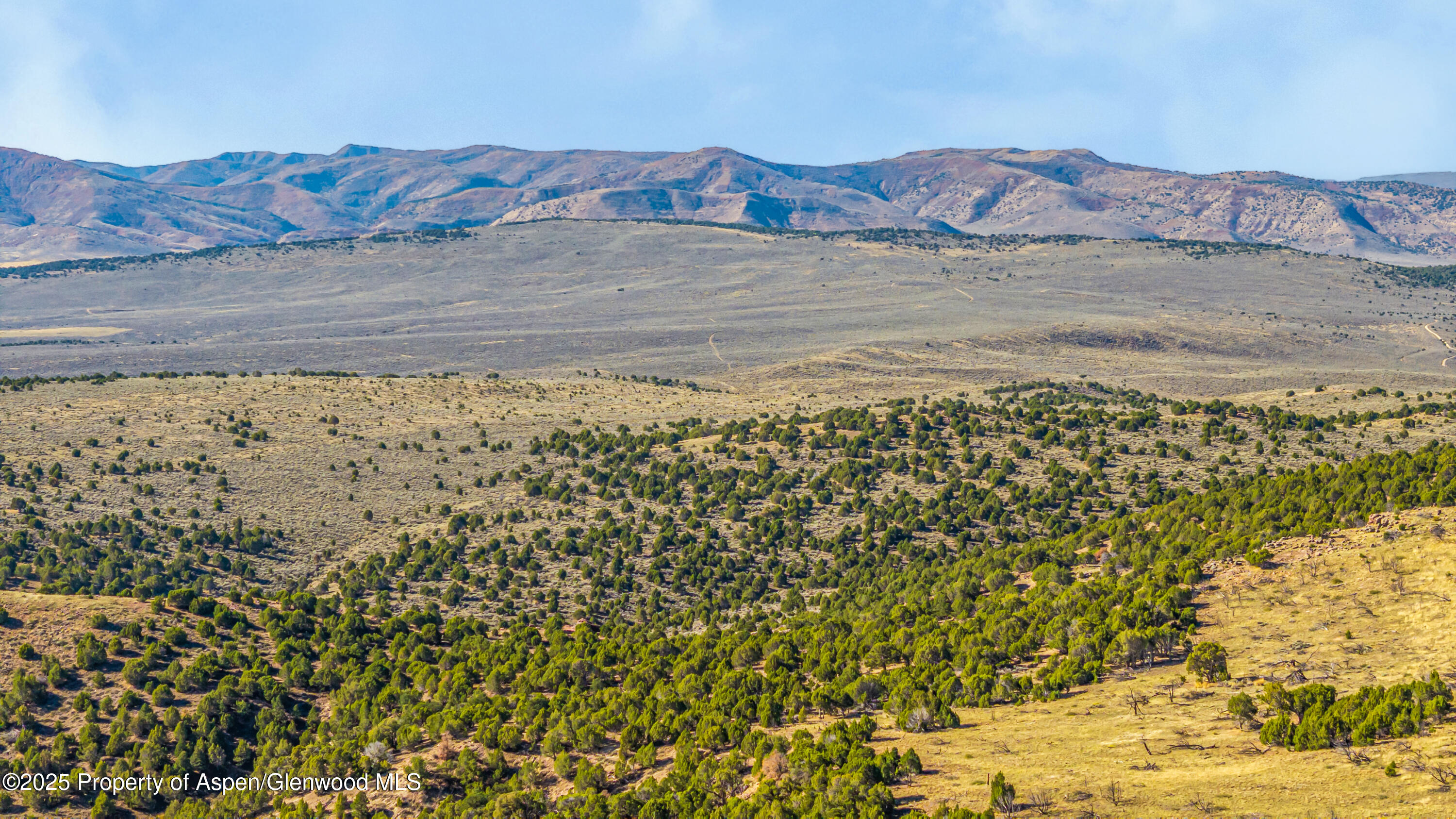 Tbd County Road 53 Maybell CO 81640