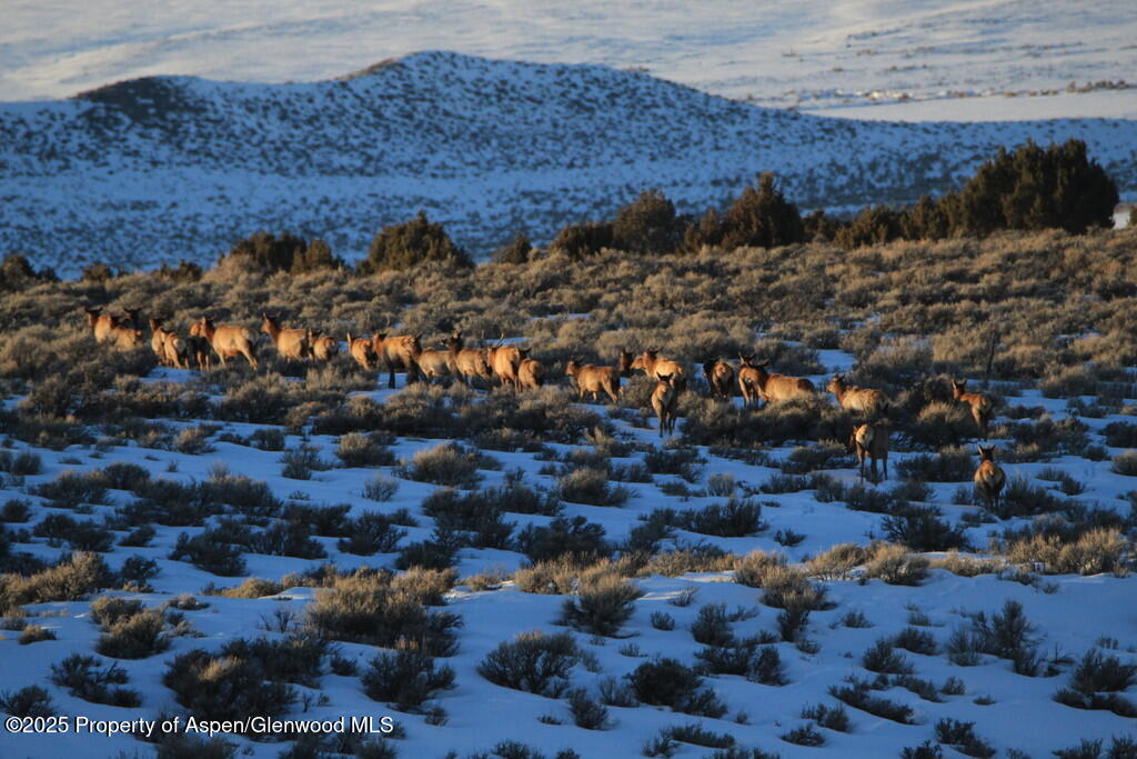 Tbd County Road 53 Maybell CO 81640