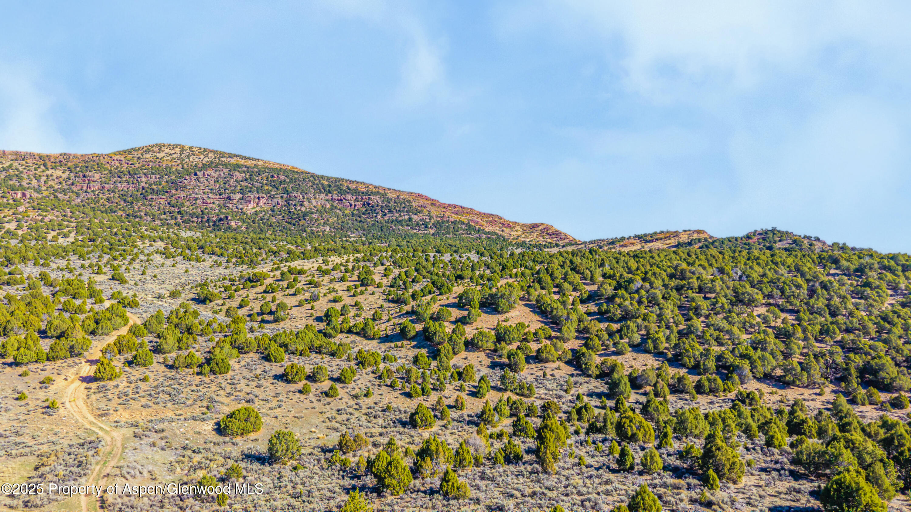 Tbd County Road 53 Maybell CO 81640