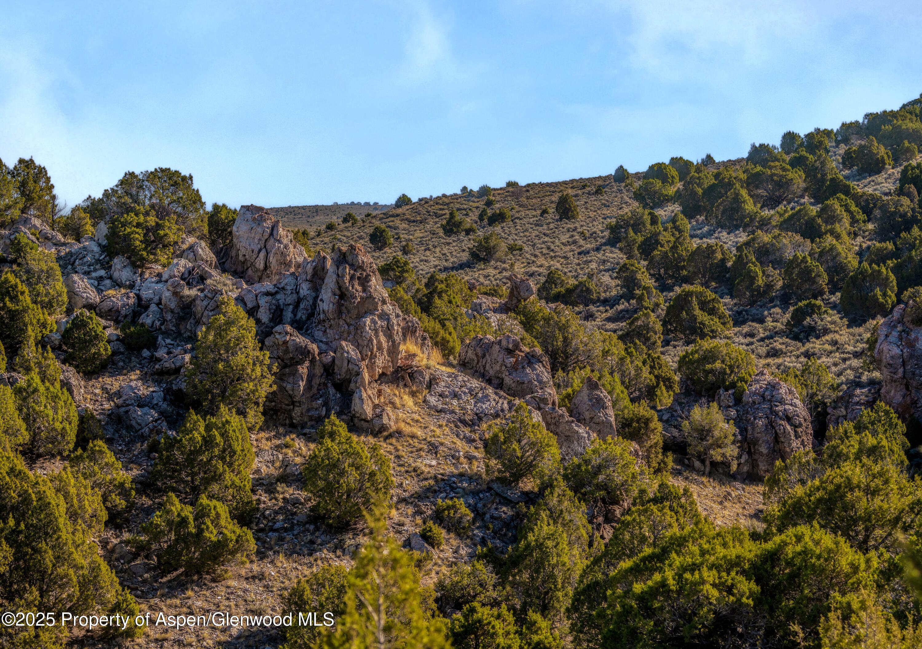 Tbd County Road 53 Maybell CO 81640