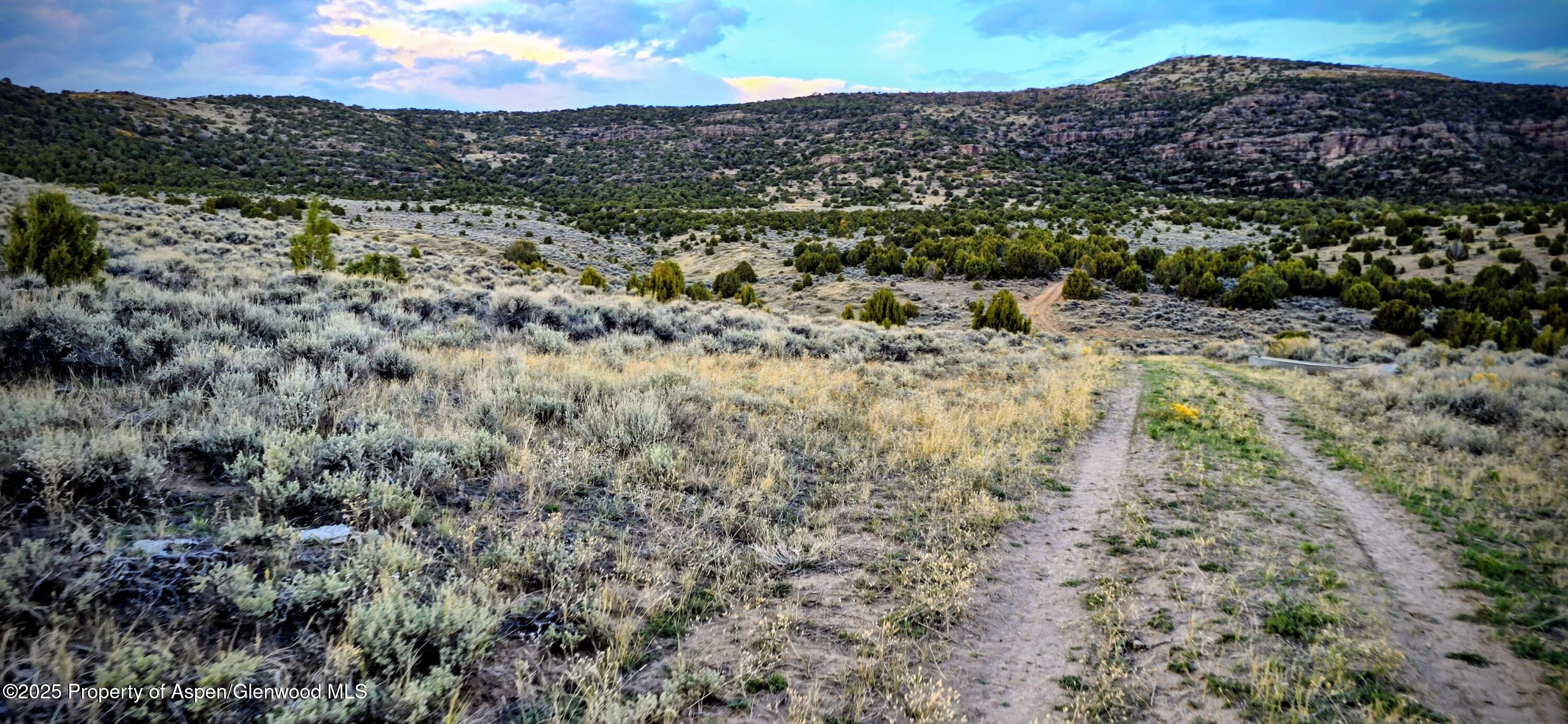 Tbd County Road 53 Maybell CO 81640