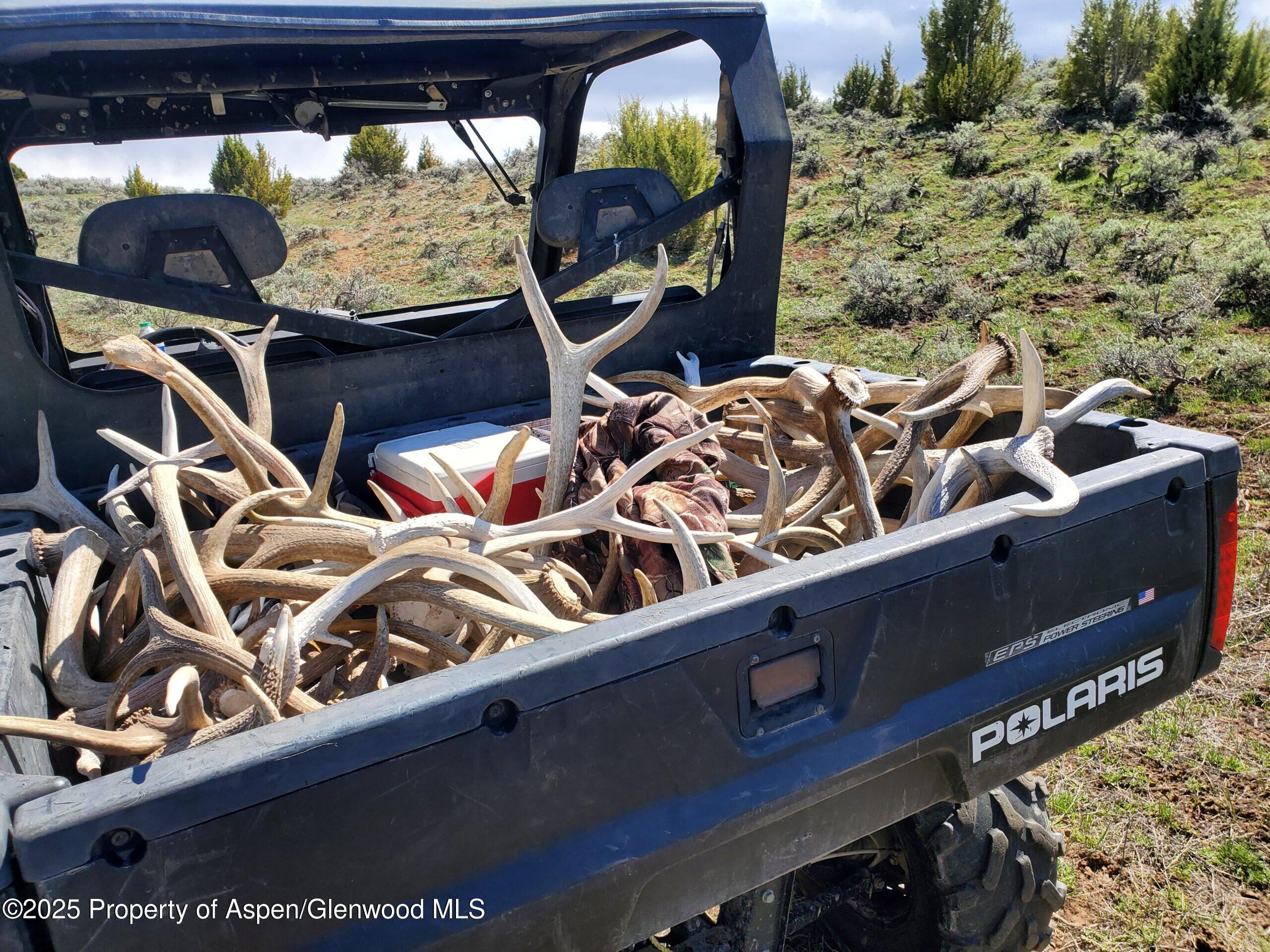 Tbd County Road 53 Maybell CO 81640