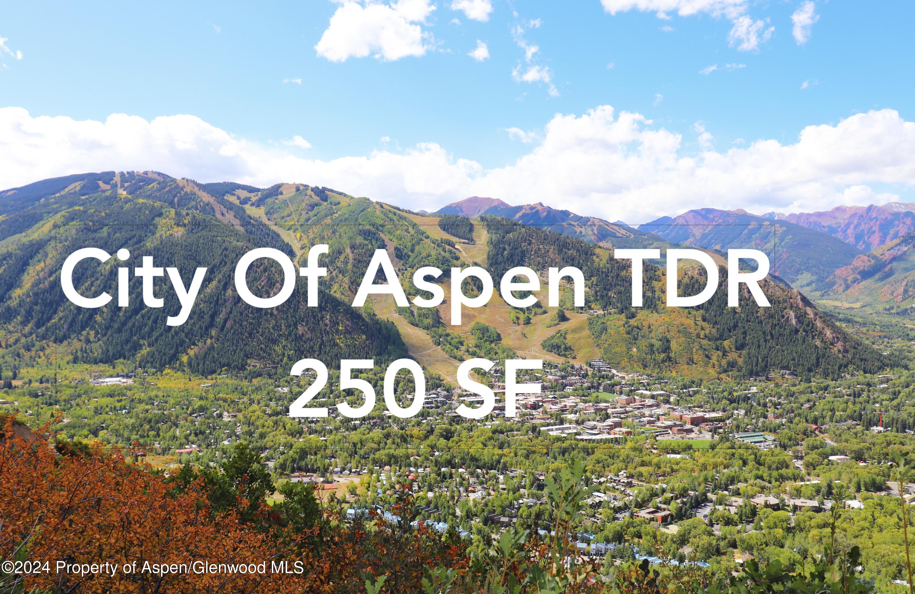 City Tdr Aspen CO 81611