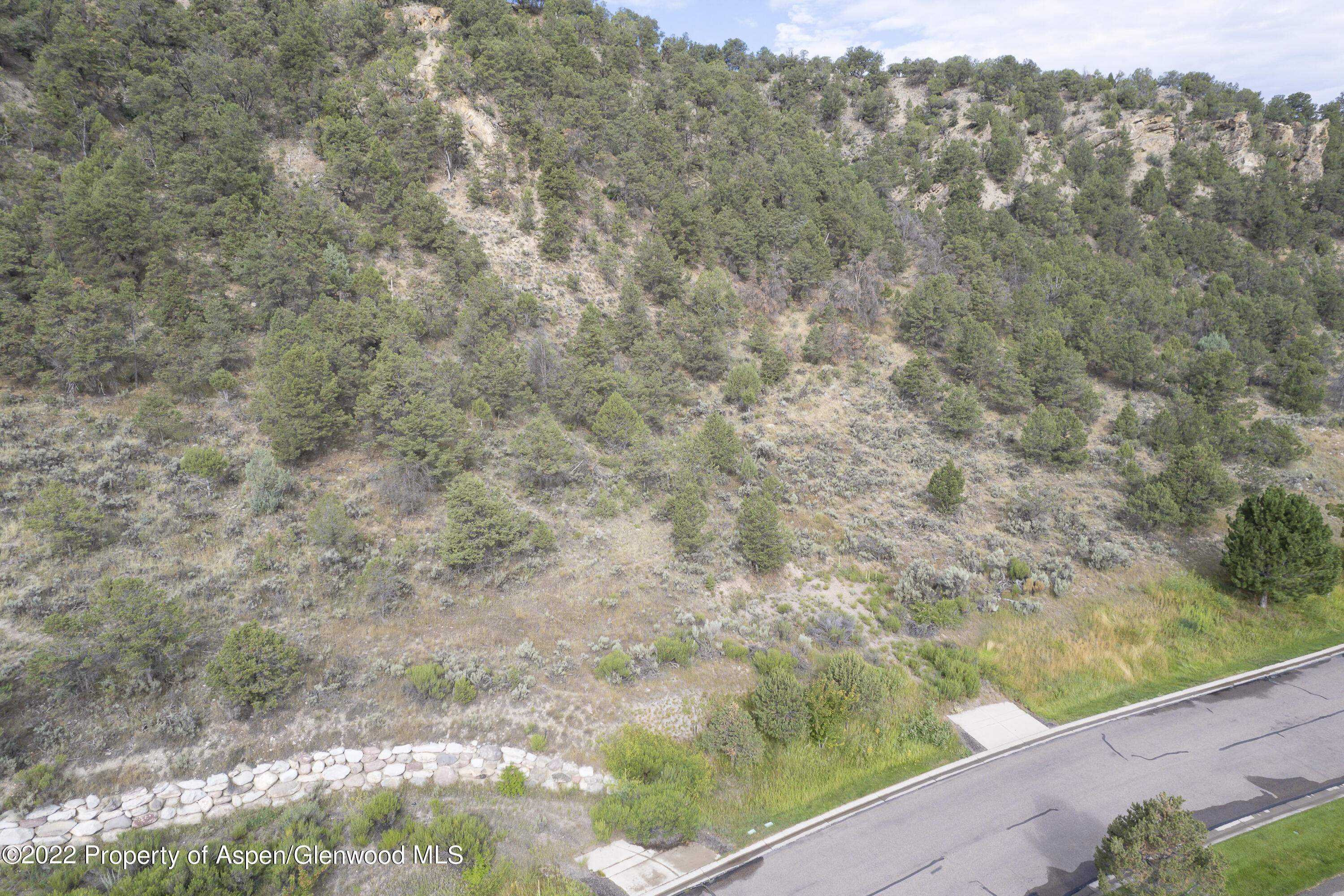3865 Crystal Bridge Drive Carbondale CO 81623