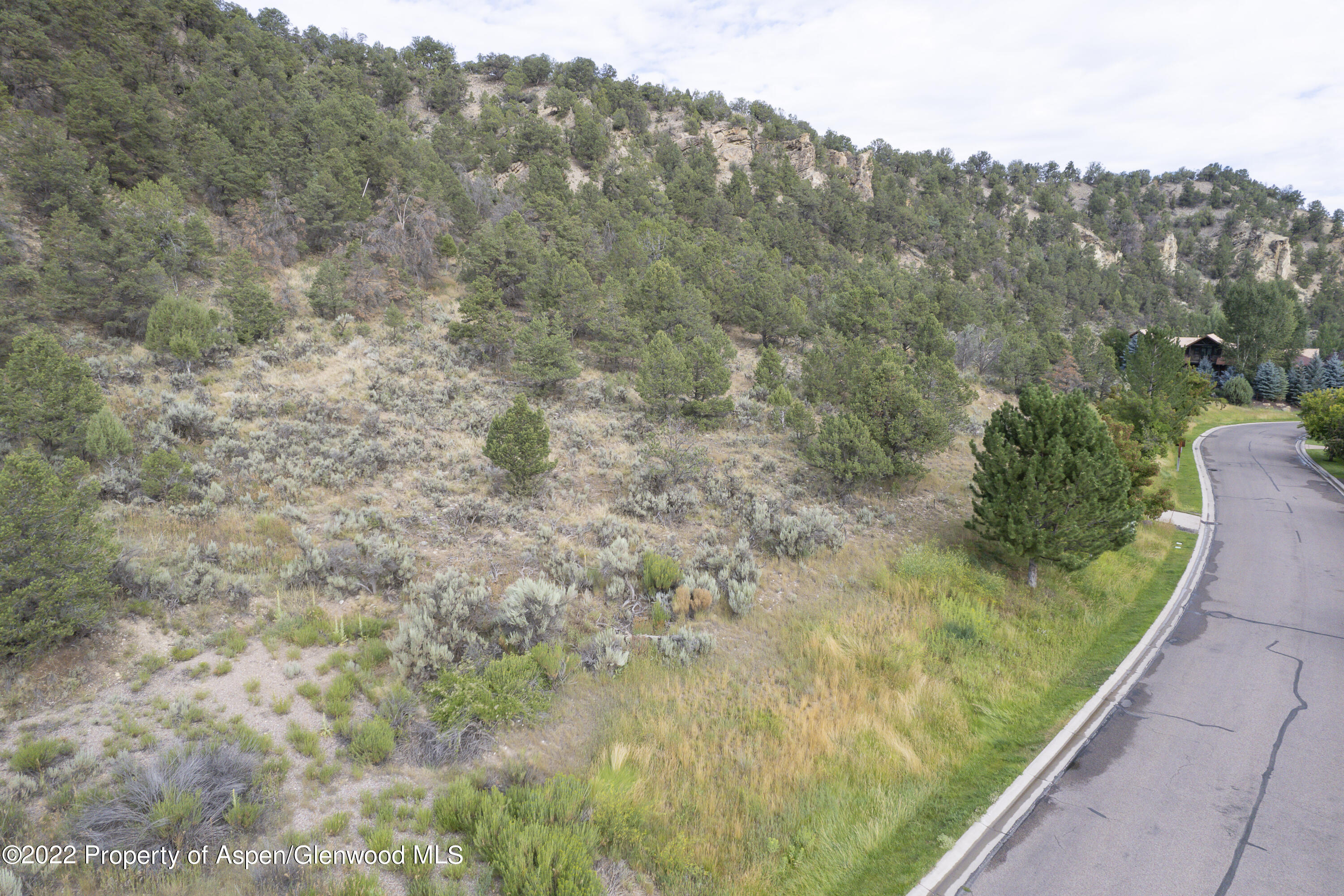 3865 Crystal Bridge Drive Carbondale CO 81623