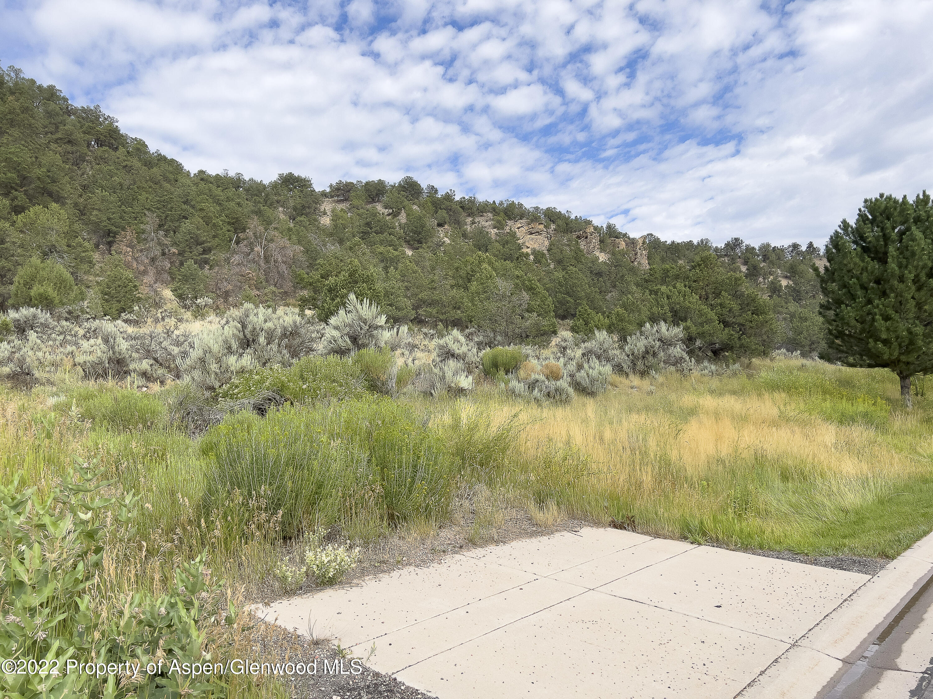 3865 Crystal Bridge Drive Carbondale CO 81623