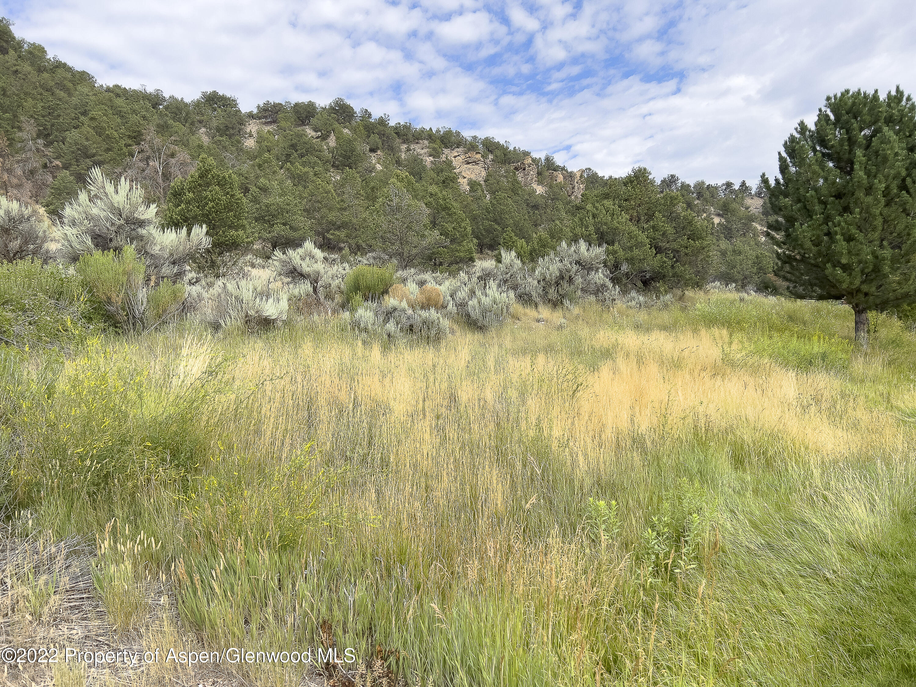 3865 Crystal Bridge Drive Carbondale CO 81623