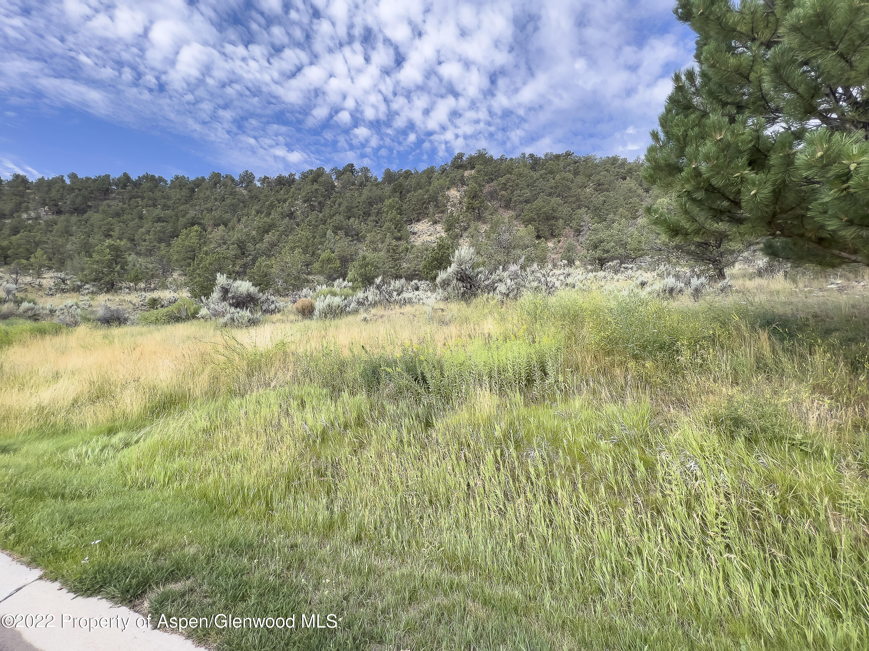 3865 Crystal Bridge Drive Carbondale CO 81623