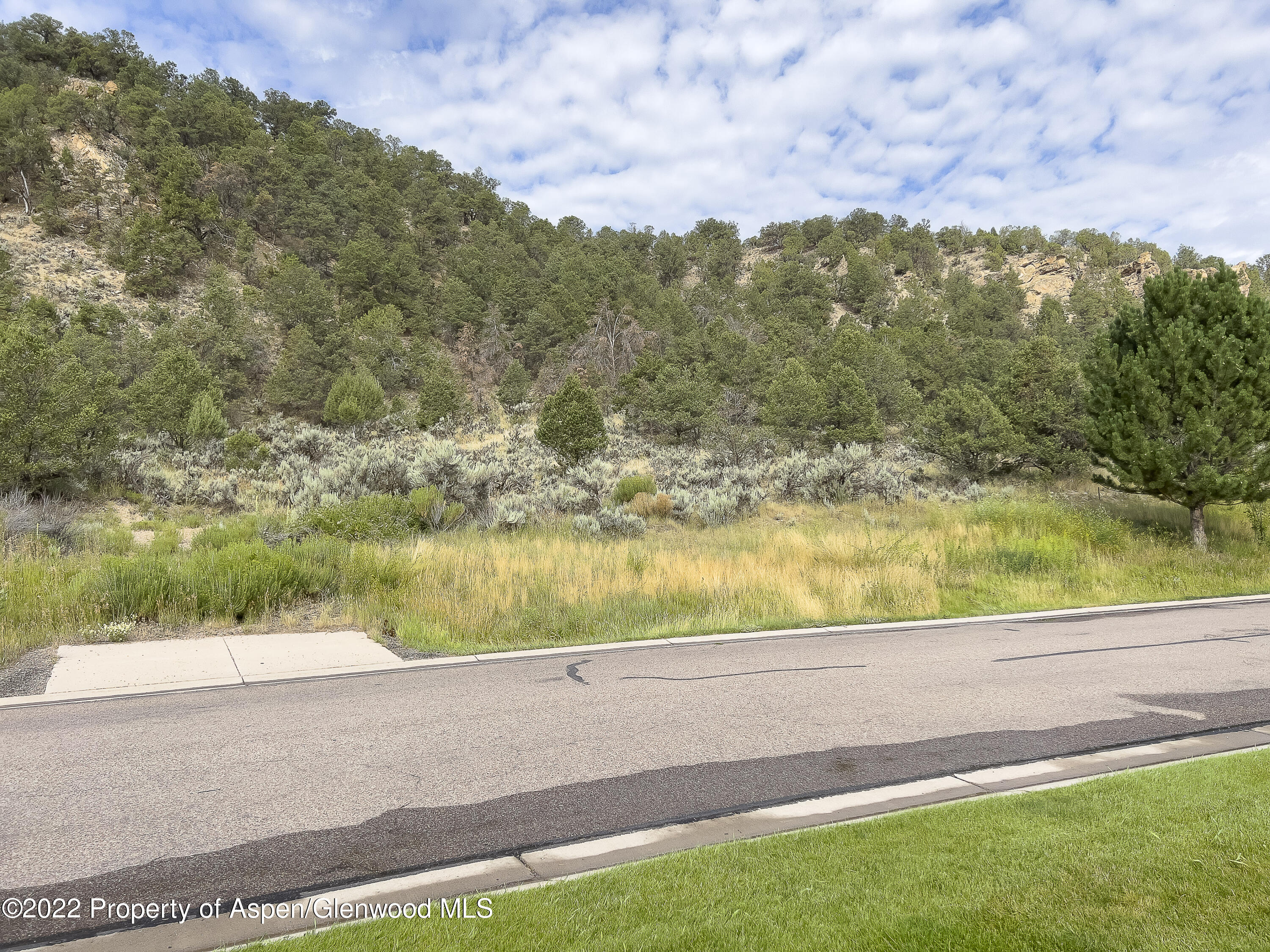 3865 Crystal Bridge Drive Carbondale CO 81623