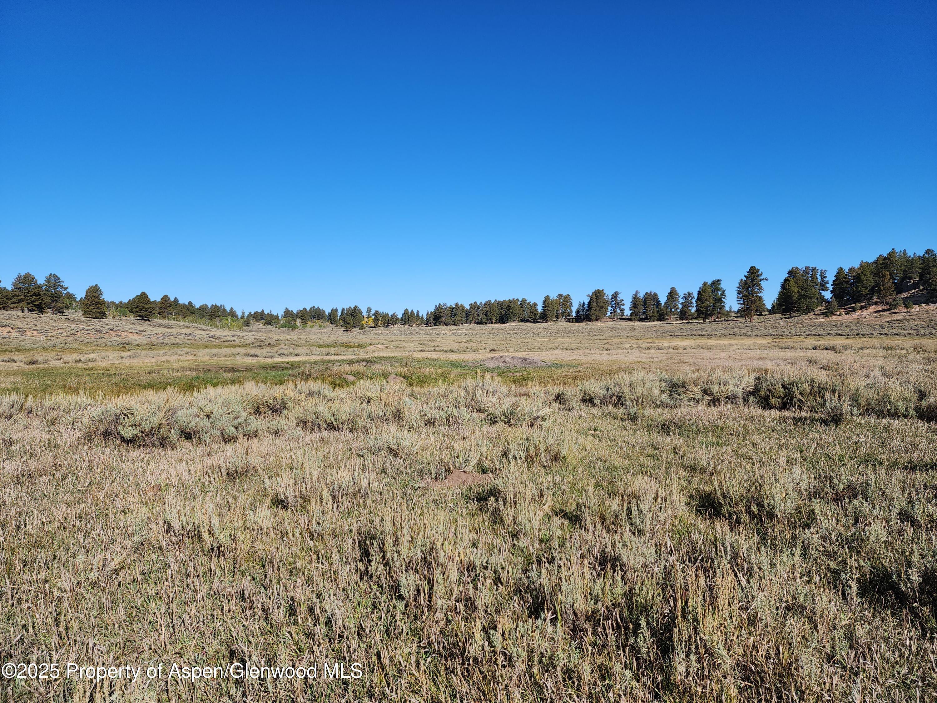 Tbd Divide Road Whitewater CO 81527