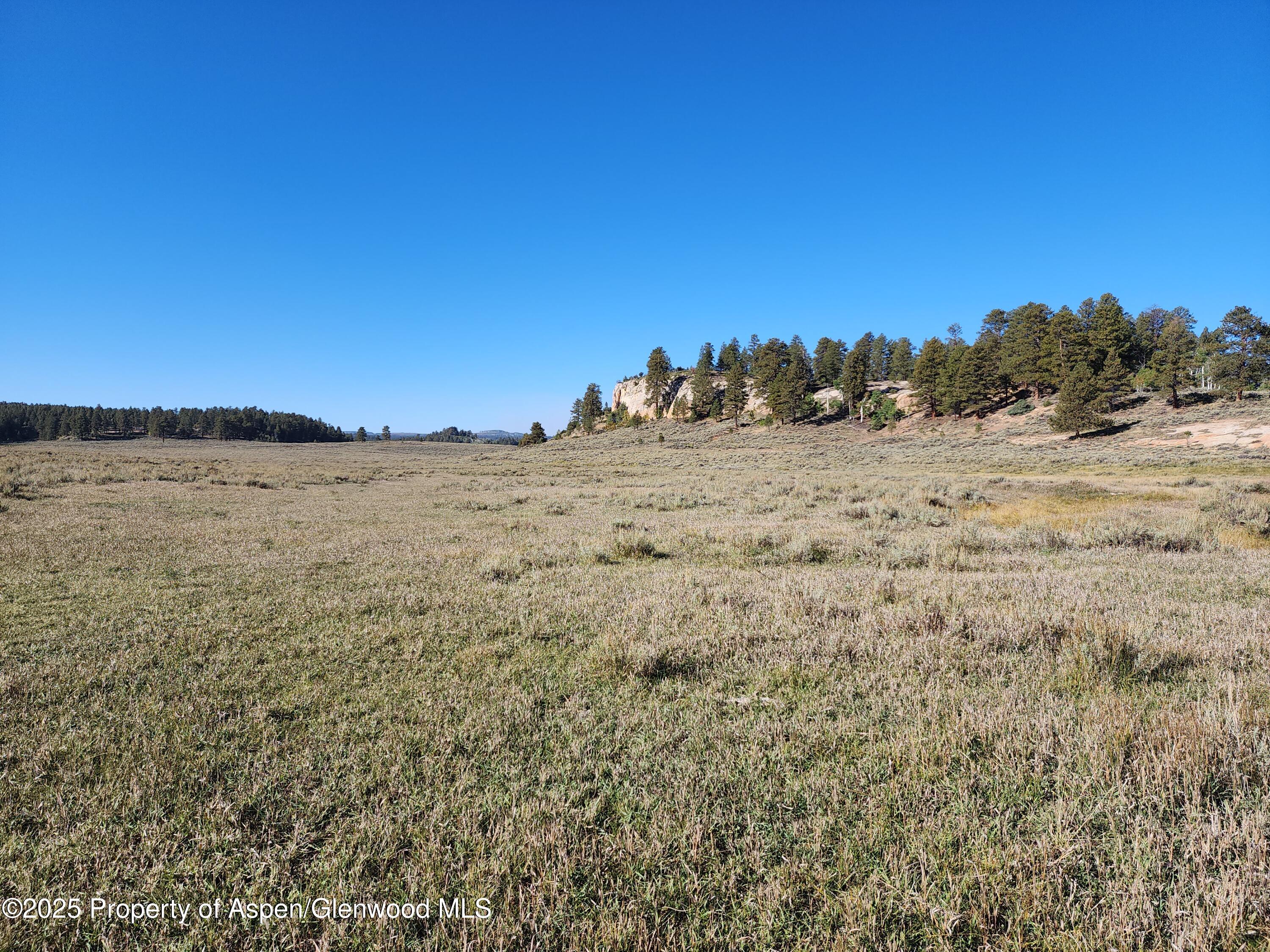 Tbd Divide Road Whitewater CO 81527