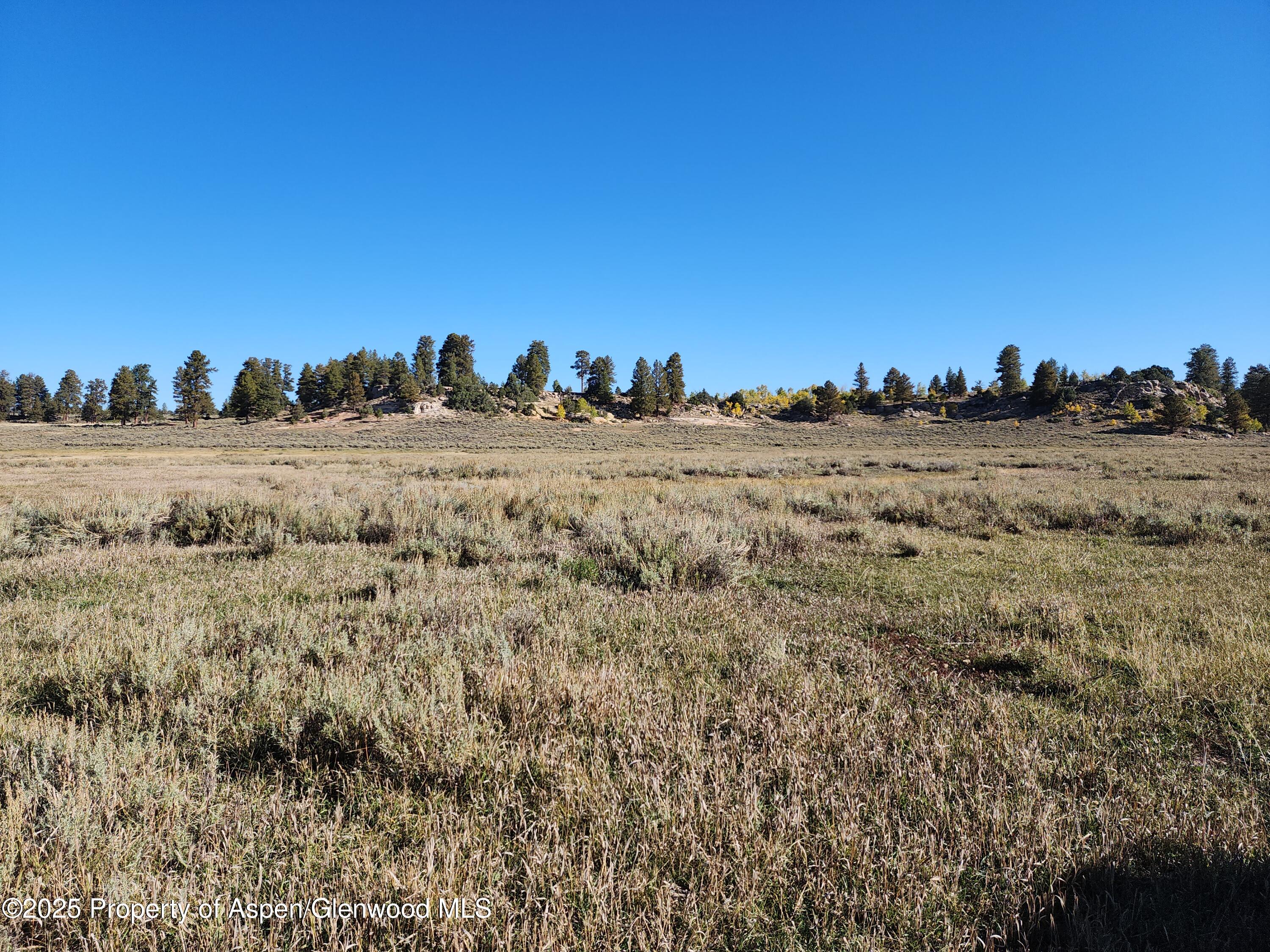 Tbd Divide Road Whitewater CO 81527