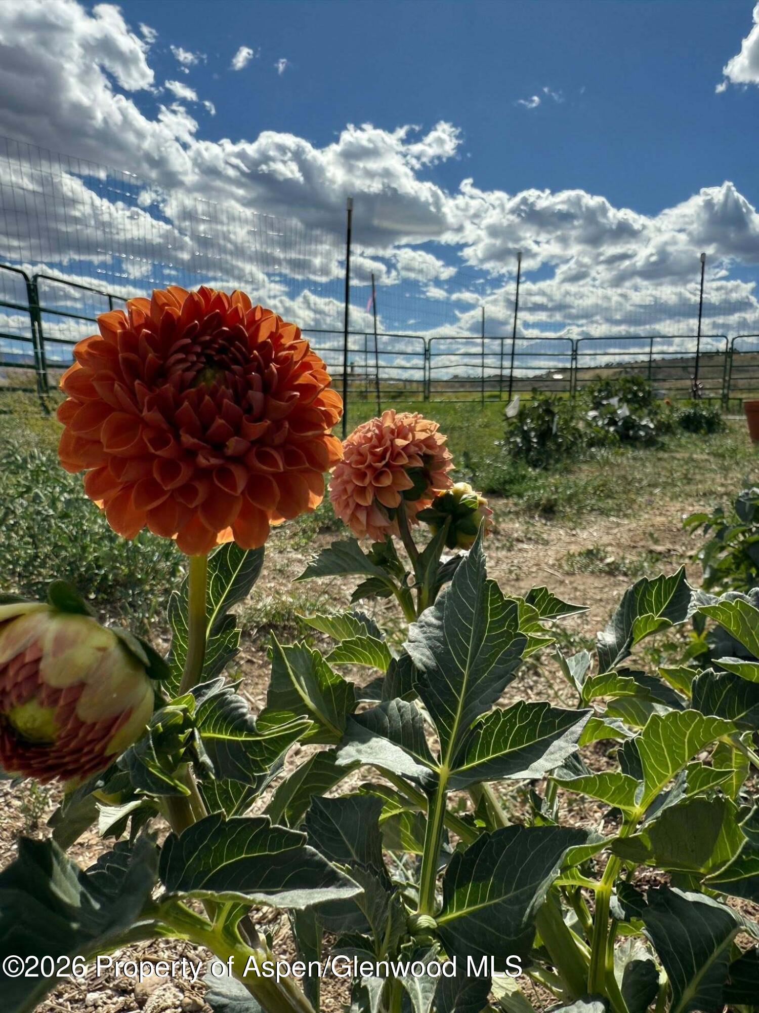 Lot 3 Solar Road Montrose CO 81403
