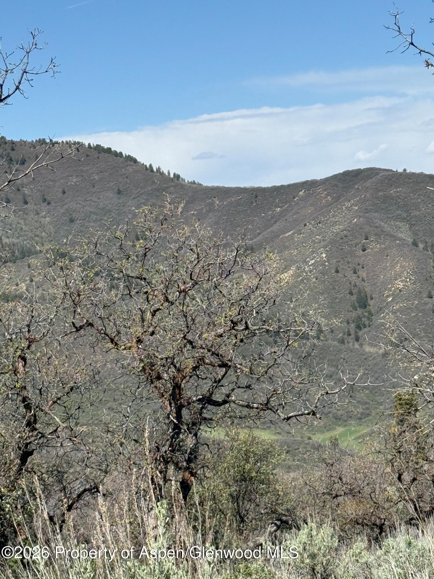 0 South Fork Road Rifle CO 81650