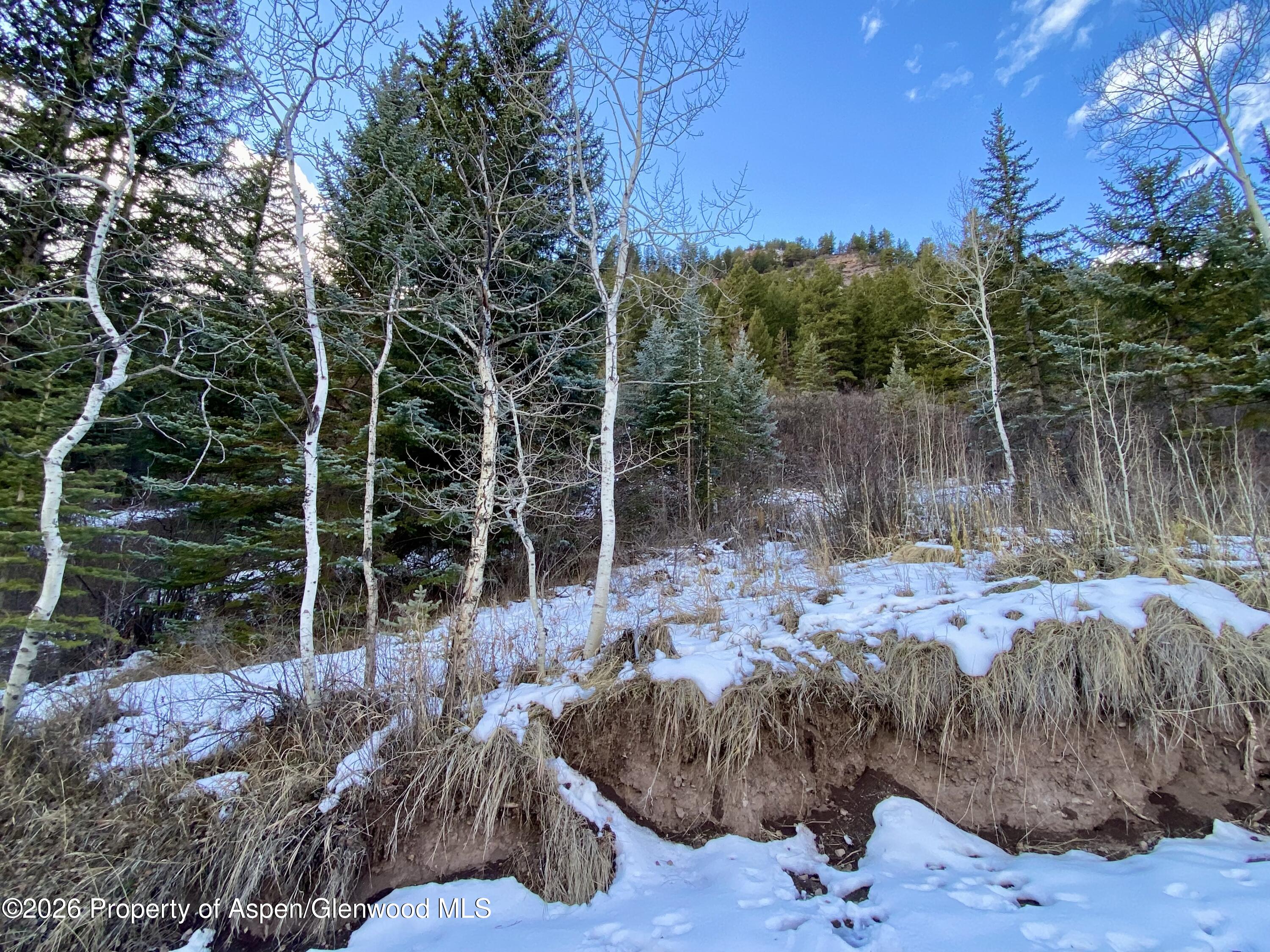 250 Elk Mountain Drive Redstone CO 81623