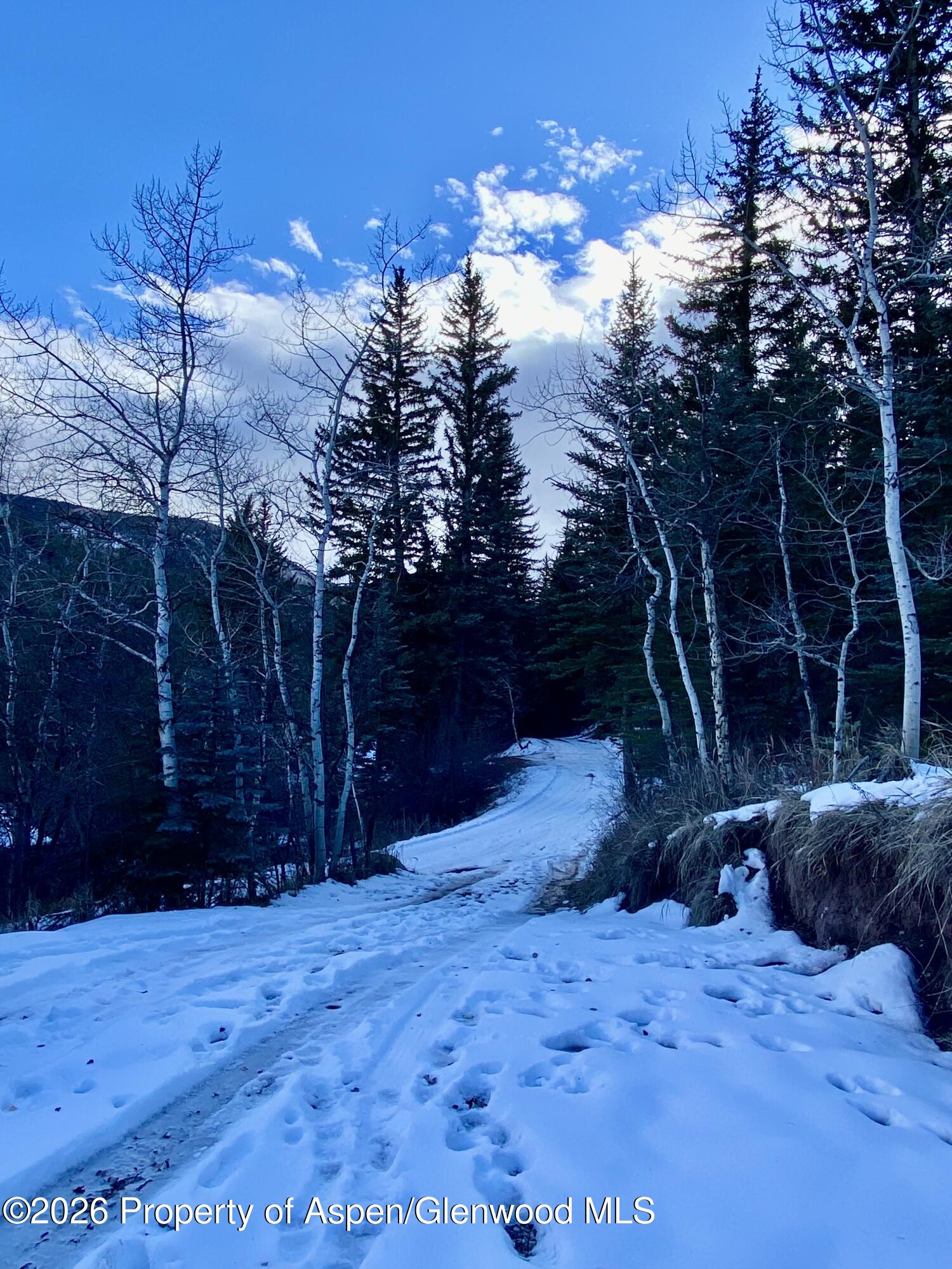 250 Elk Mountain Drive Redstone CO 81623