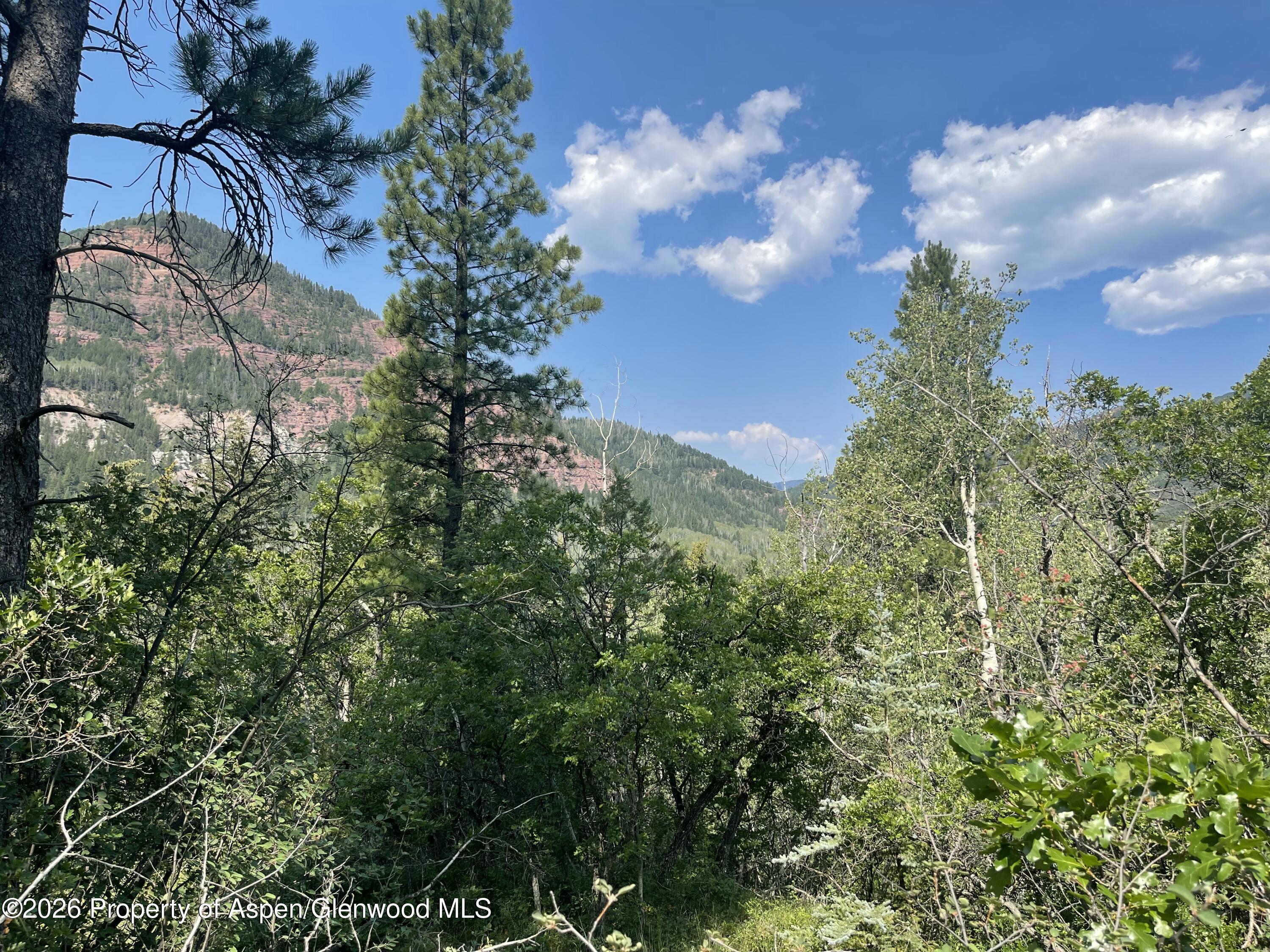 315 Fire House Road Redstone CO 81623