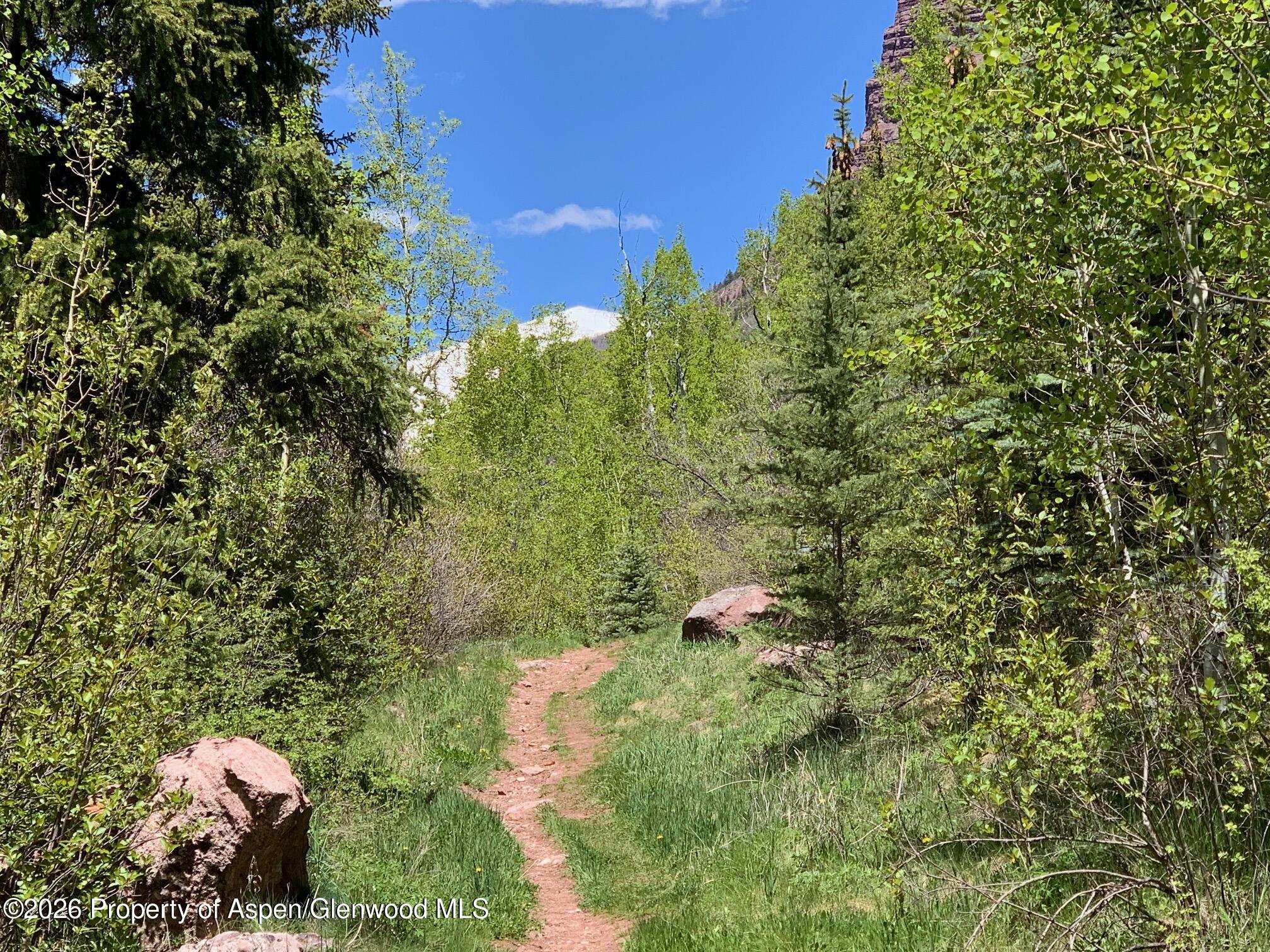 315 Fire House Road Redstone CO 81623